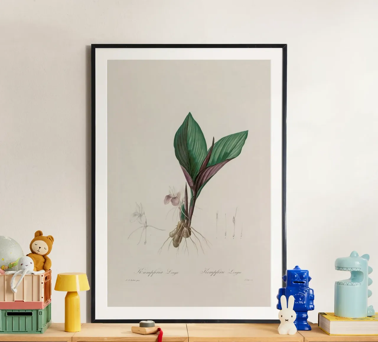 Kaempferia Longa, 1802-1816 - Henry Joseph Redouté poster con telaio in legno da Artokoloro Quint Lox Ltd