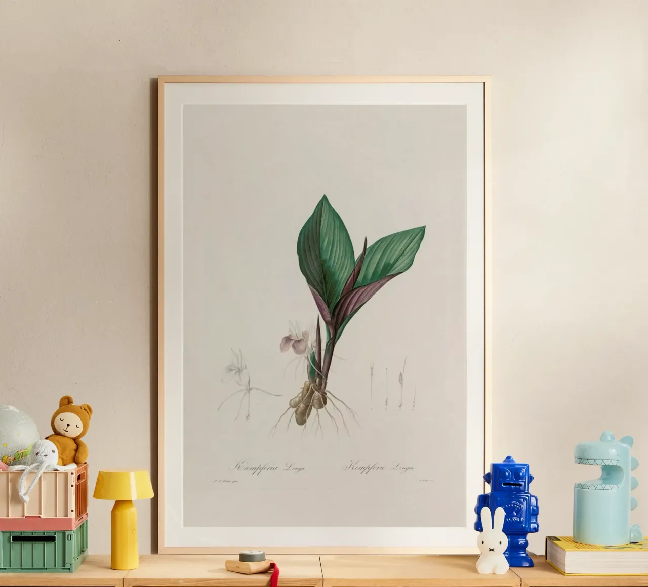 Kaempferia Longa, 1802-1816 - Henry Joseph Redouté poster con telaio in legno da Artokoloro Quint Lox Ltd