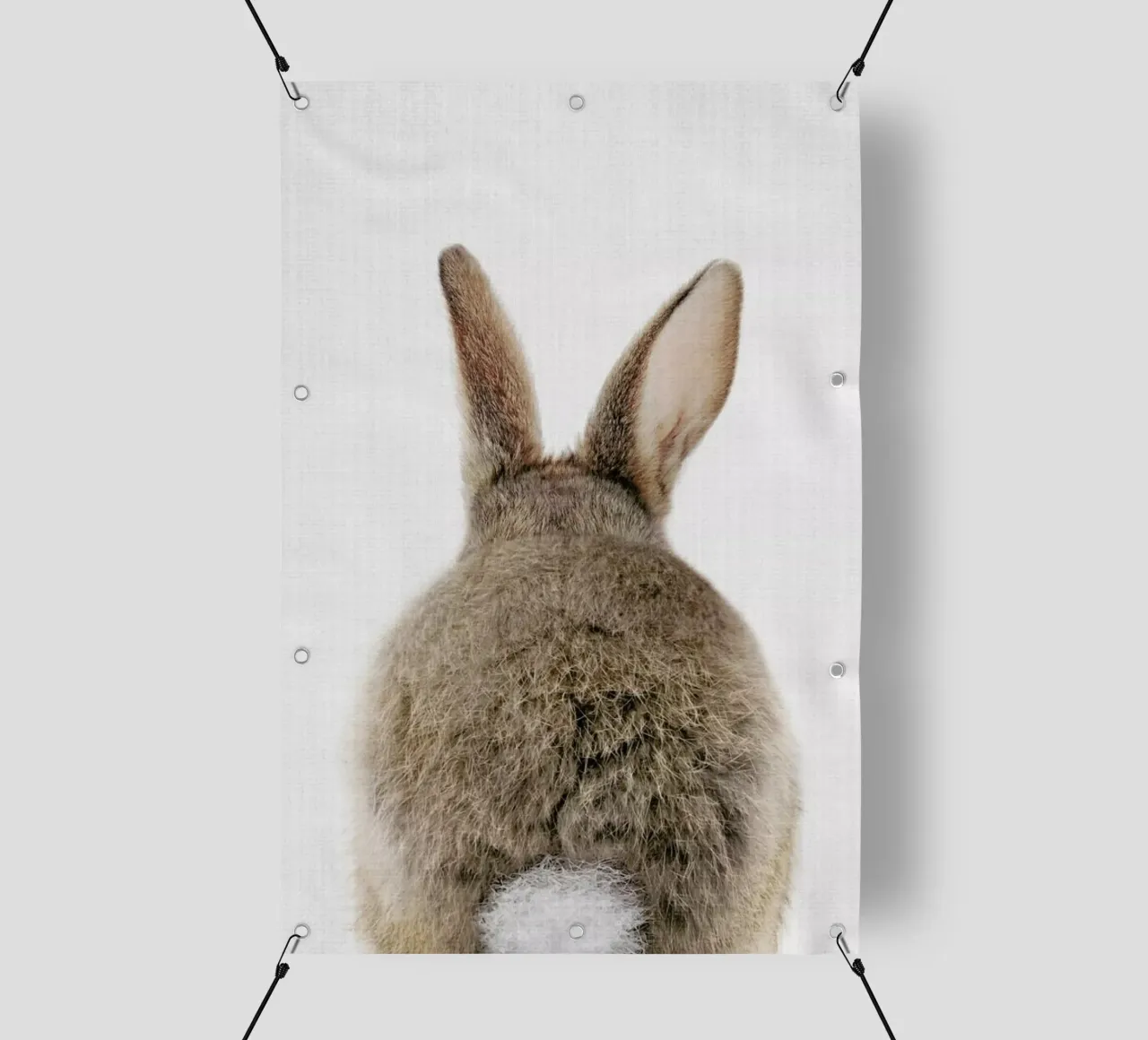 Peekaboo Bunny Tail pvc cover by Lila x Lola