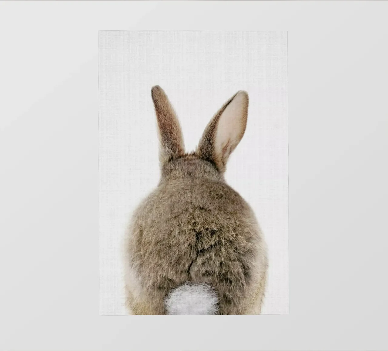 Peekaboo Bunny Tail pvc cover by Lila x Lola