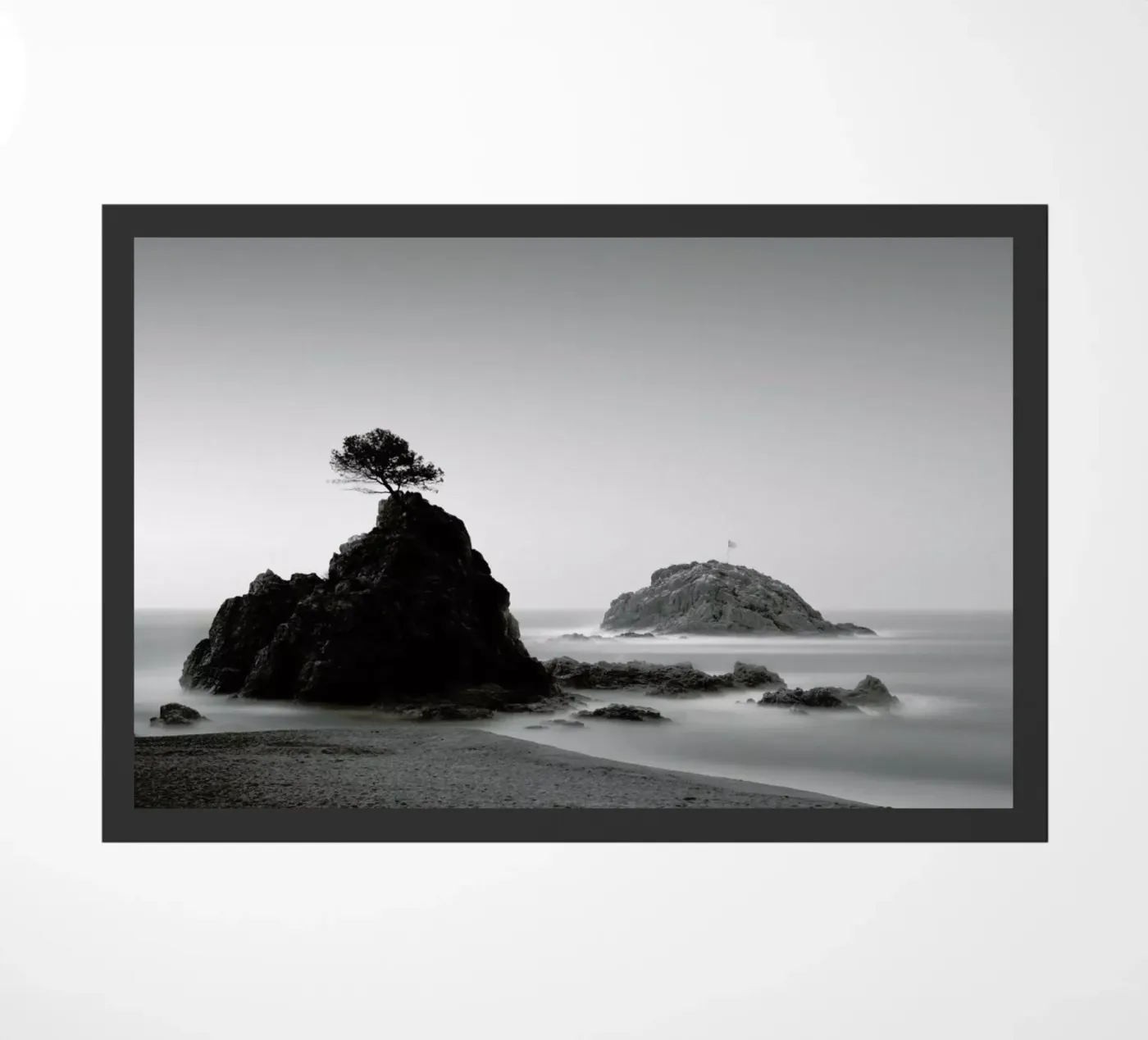 Punta De Sa Llonge zerbino da Michael J. Reibert