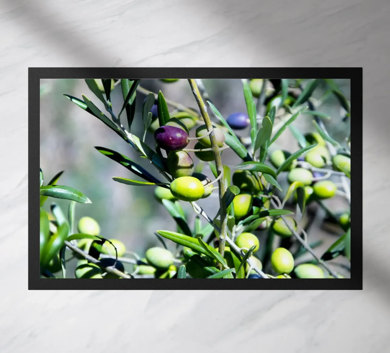 Olive zerbino da Teresa André