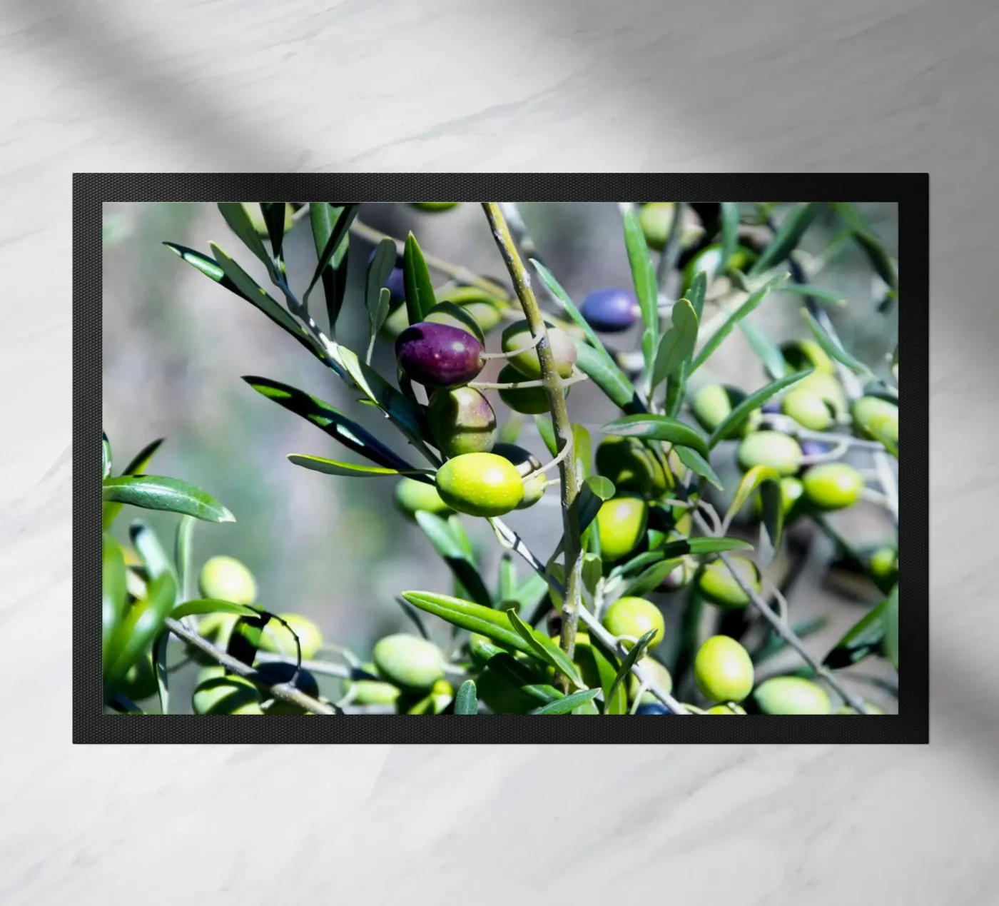 Olives zerbino da Teresa André