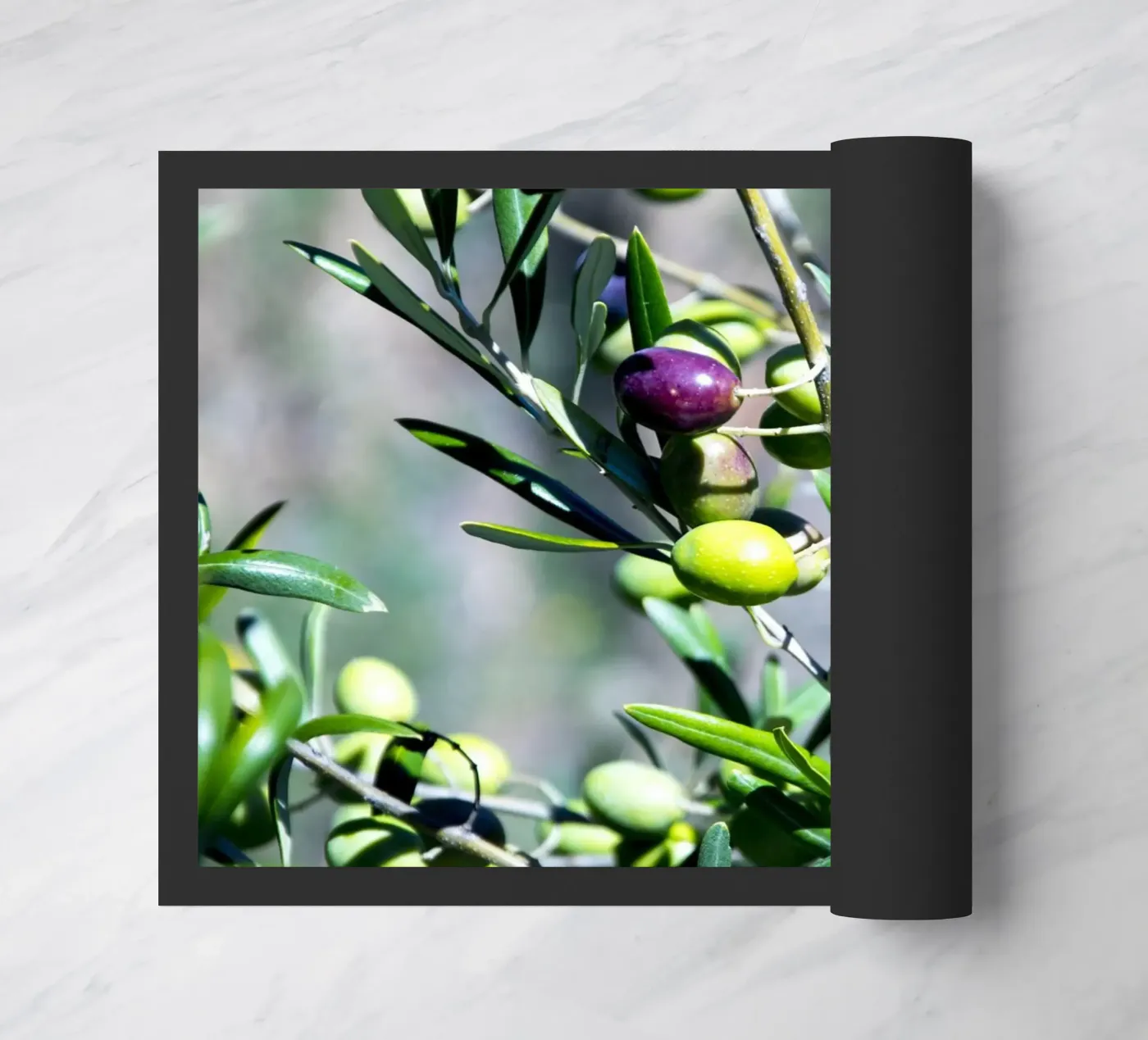 Olives zerbino da Teresa André