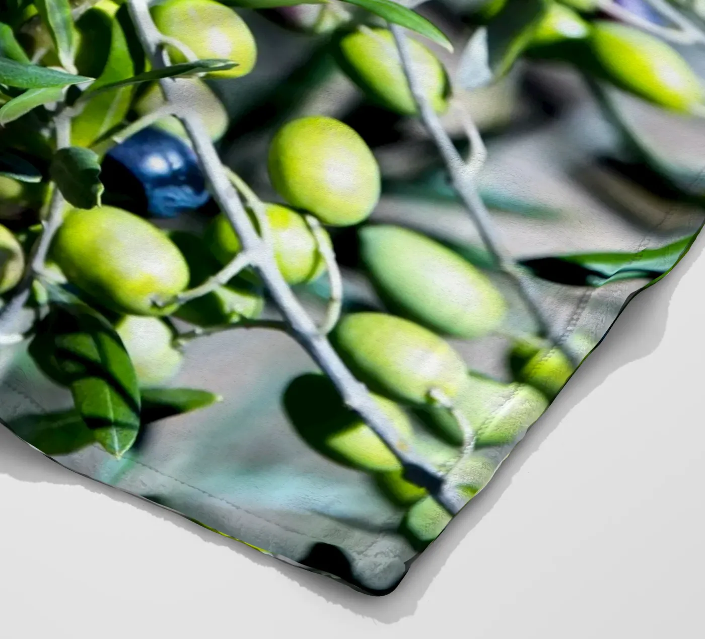Olive coperta in pile da Teresa André