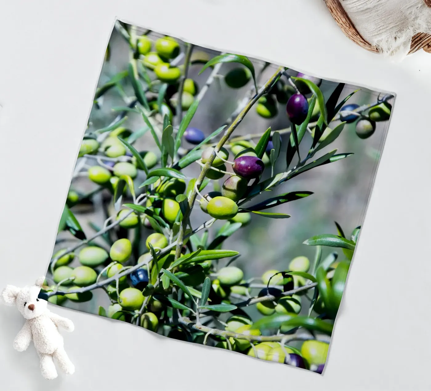 Olive coperta in pile da Teresa André