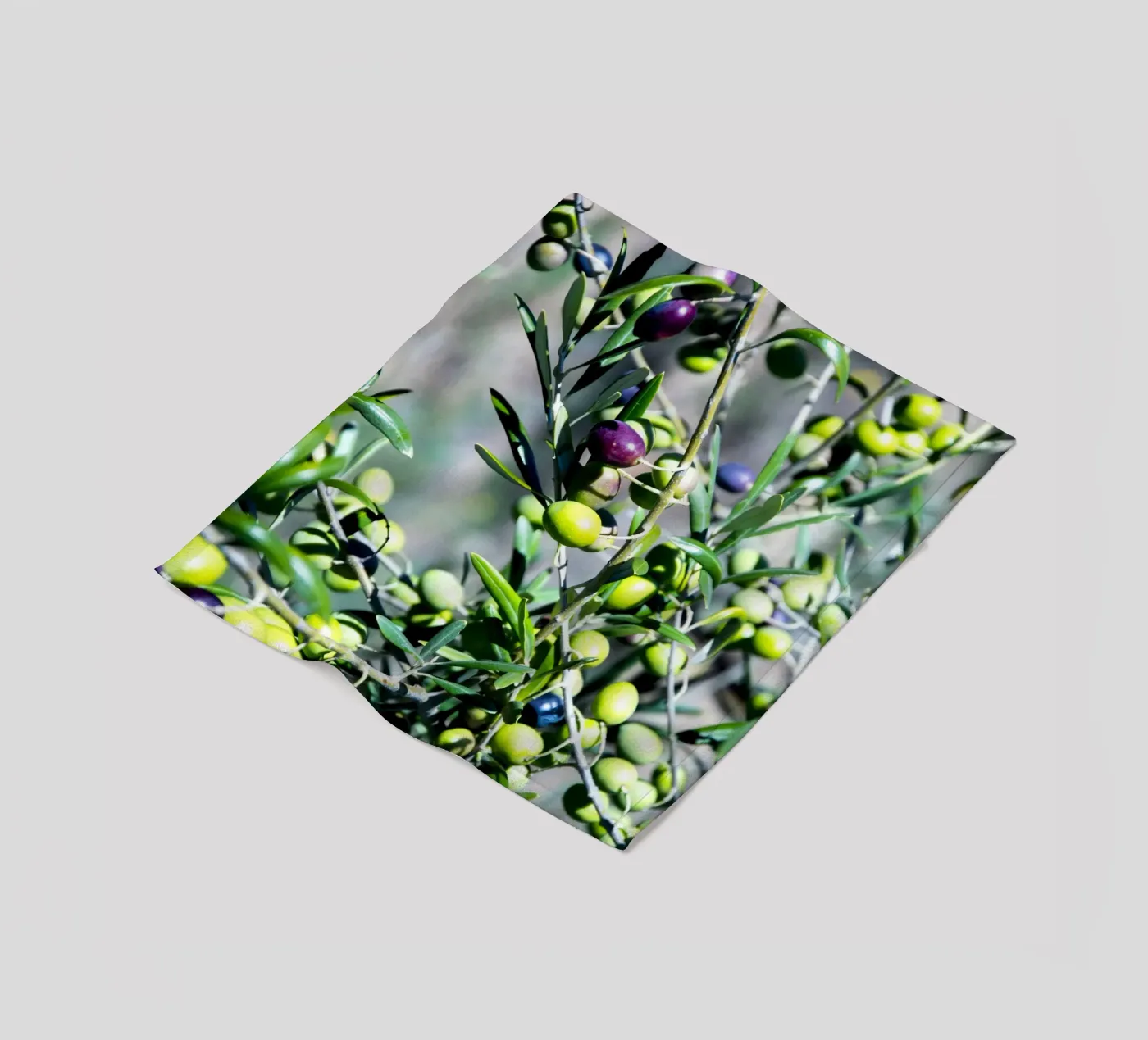 Olive coperta in pile da Teresa André