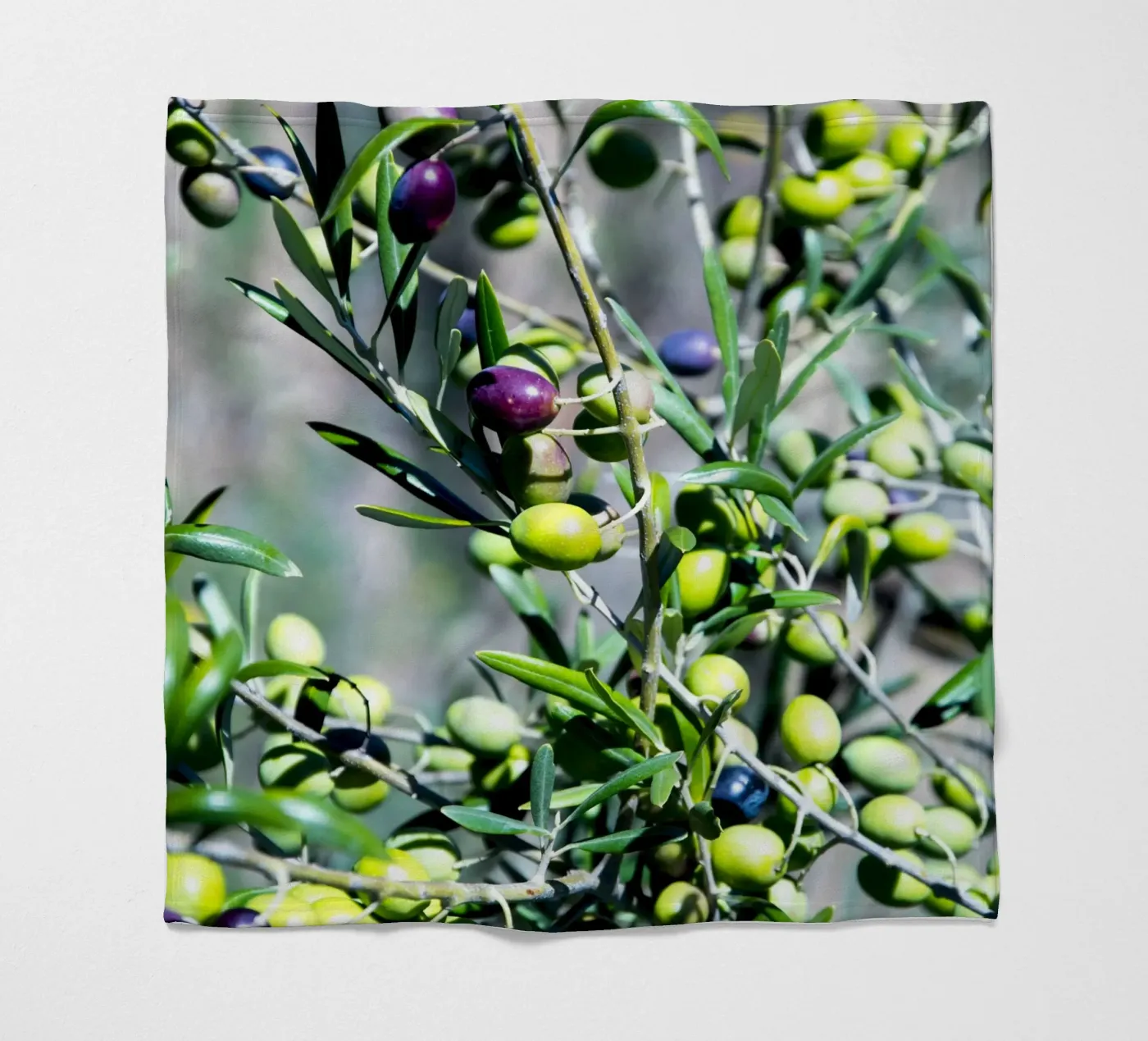 Olive coperta in pile da Teresa André