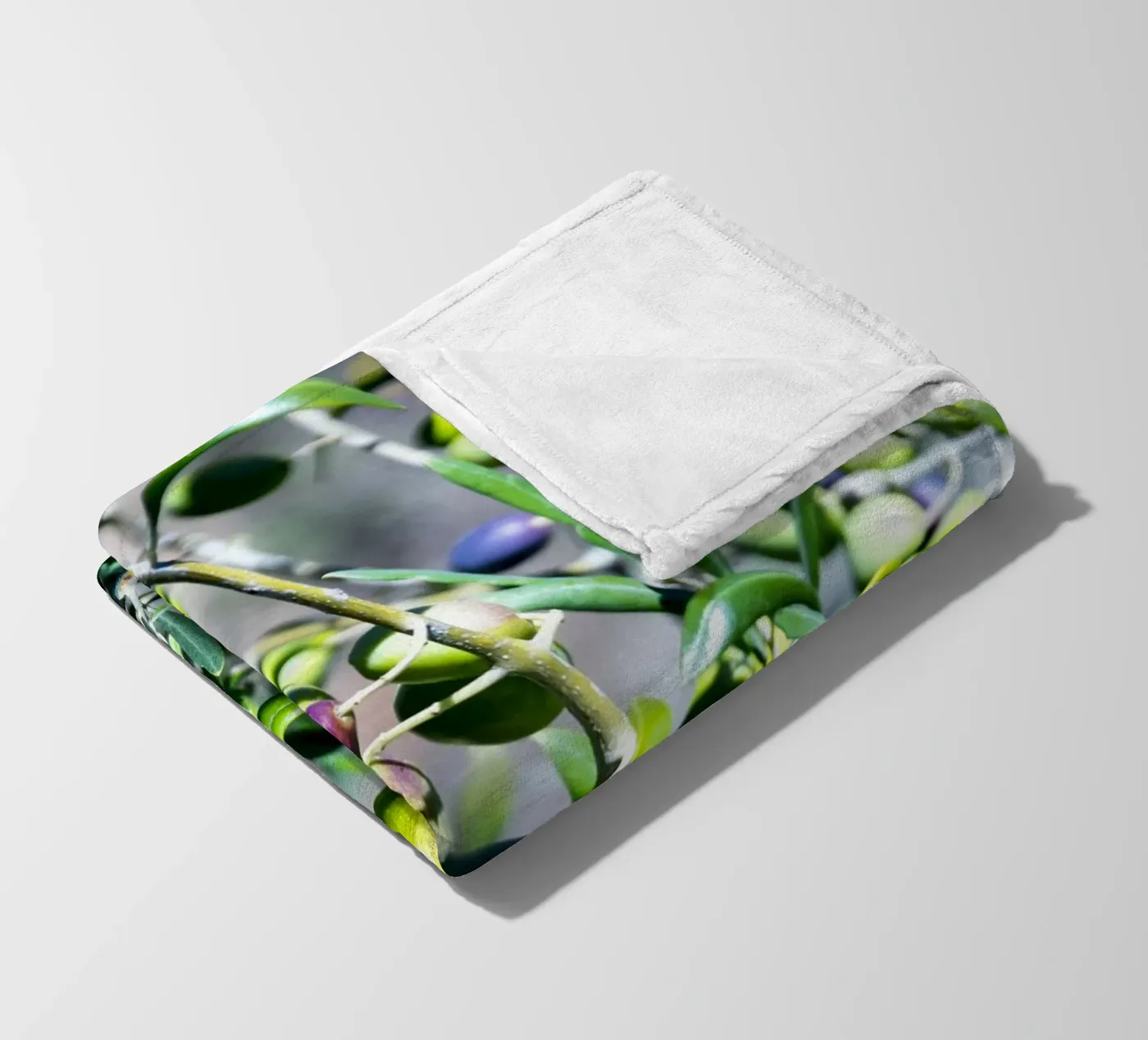 Olive coperta in pile da Teresa André