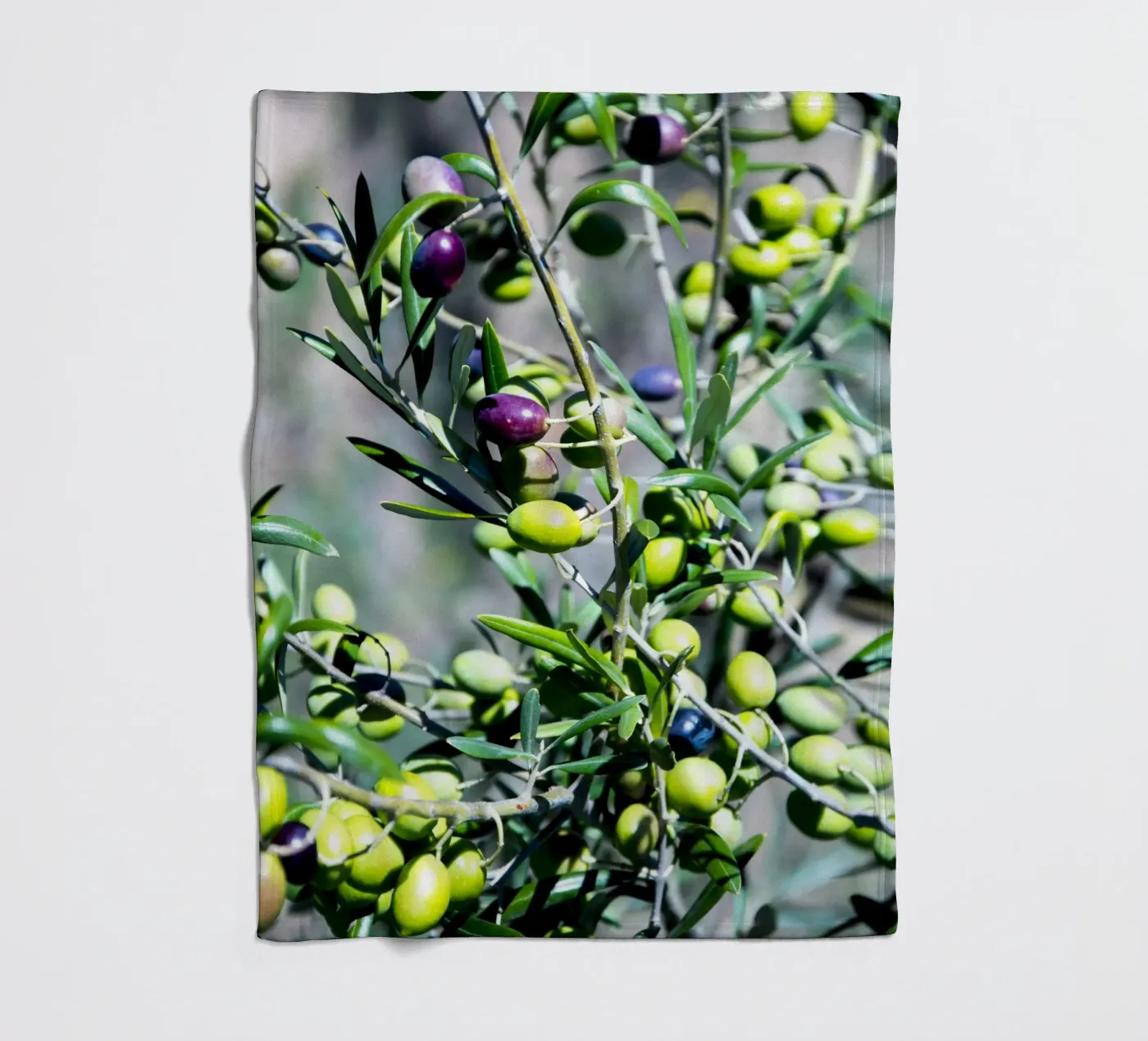 Olive coperta in pile da Teresa André