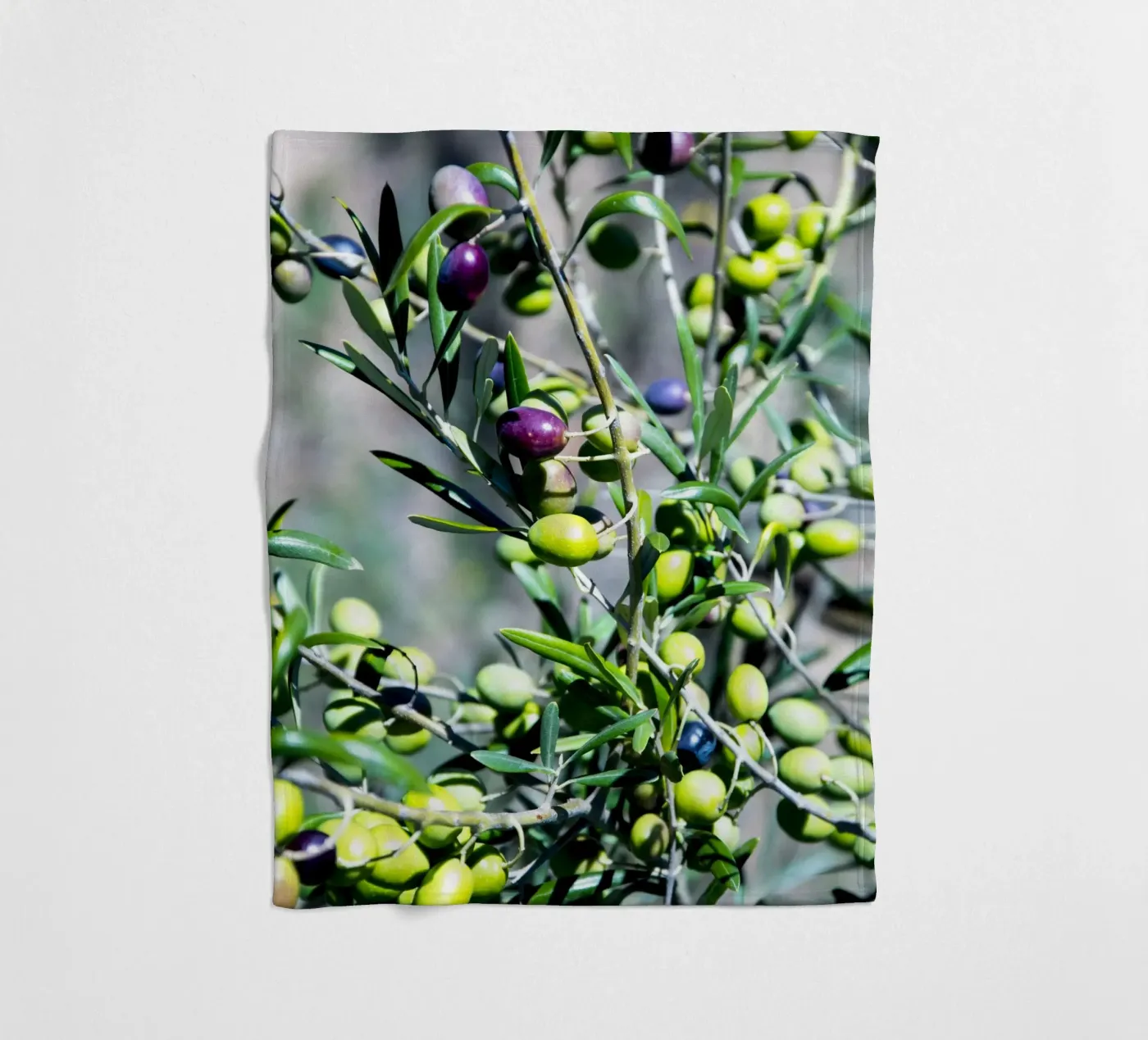 Olive coperta in pile da Teresa André