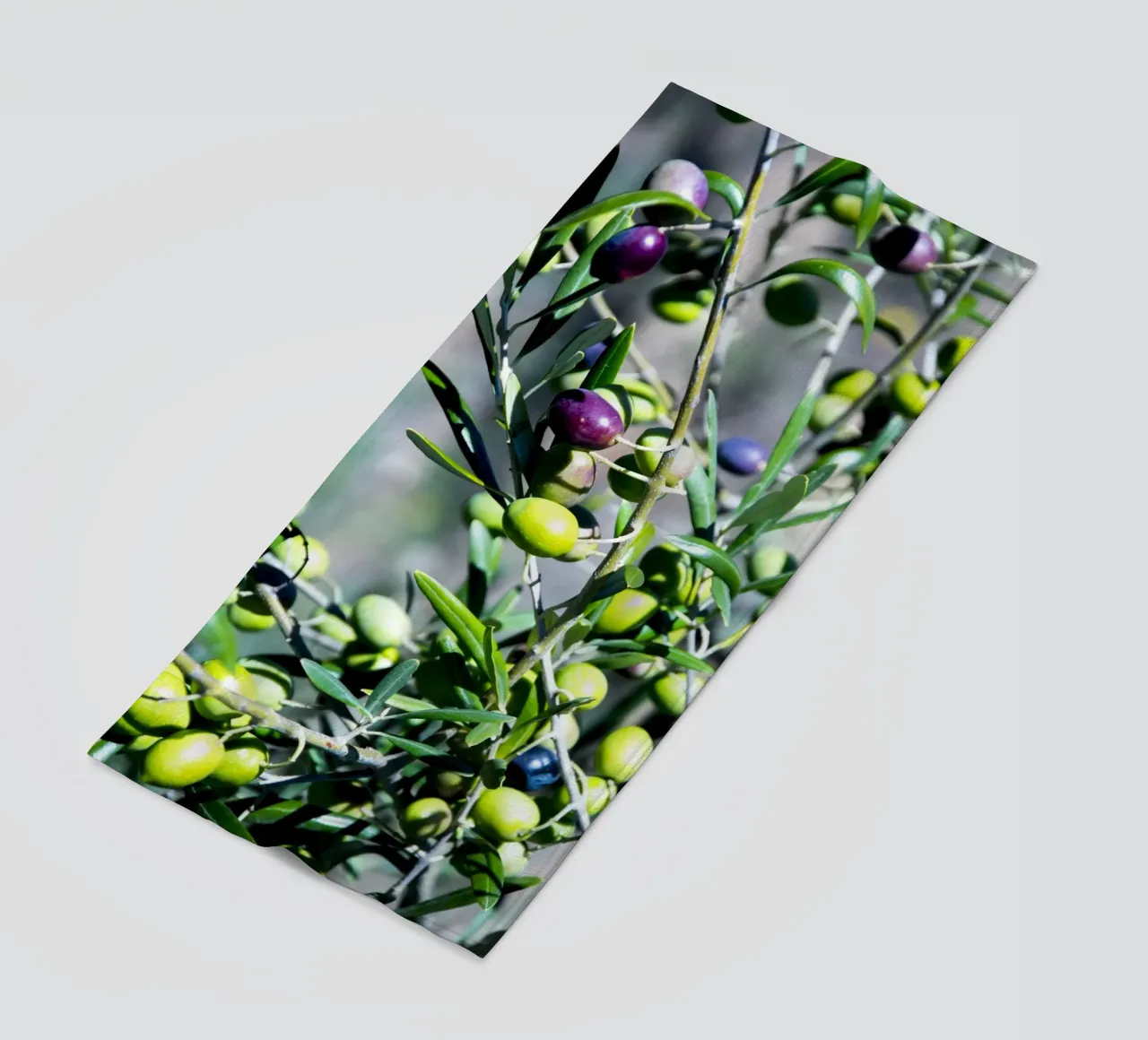 Olive telo mare da Teresa André