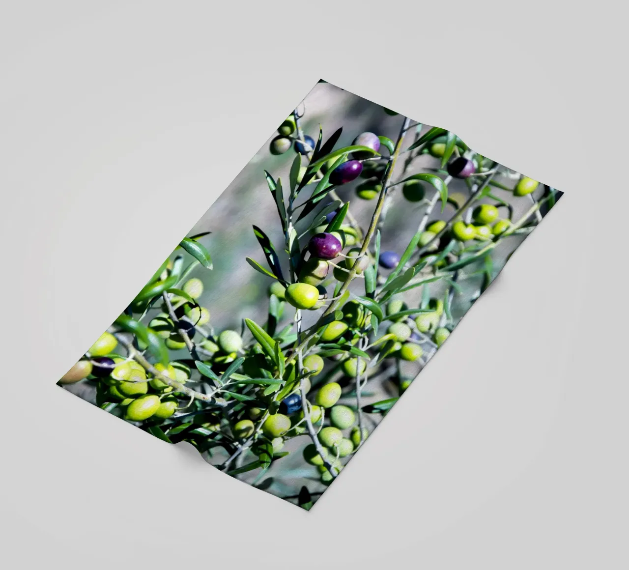 Olive telo mare da Teresa André