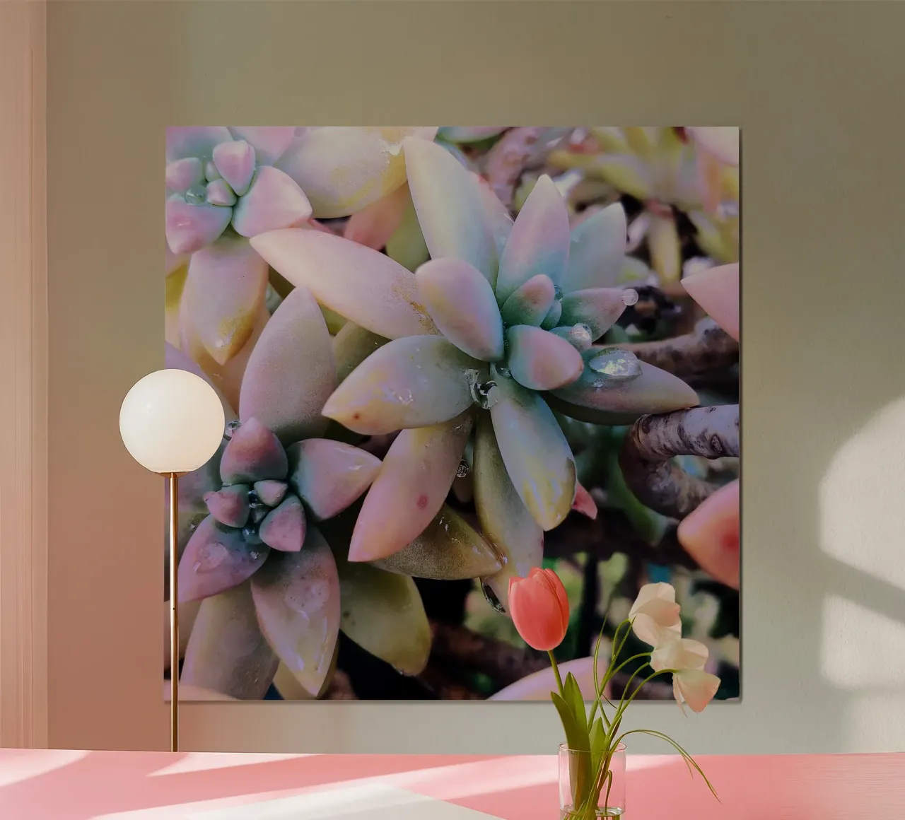 Succulents in the rain hahnemühle by Teresa André