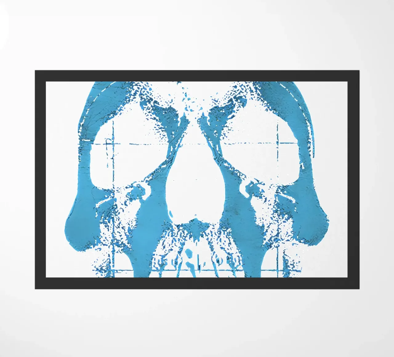 Teschio blu zerbino da Musc-Fav