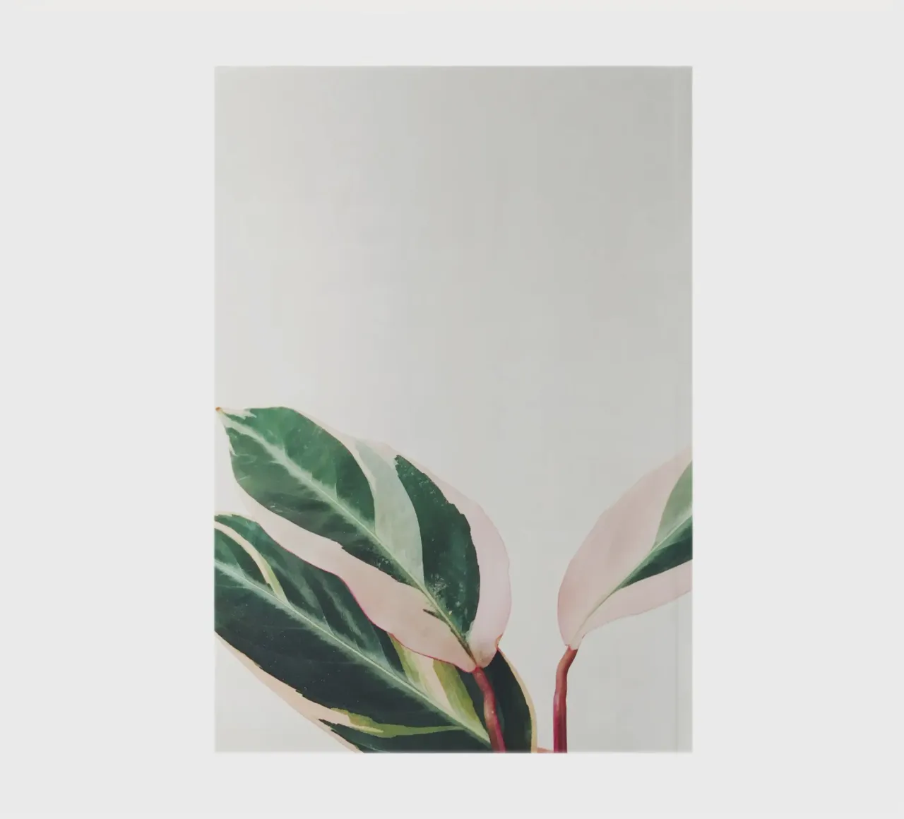 Pink Leaves III notebook by Cassia Beck Photography
