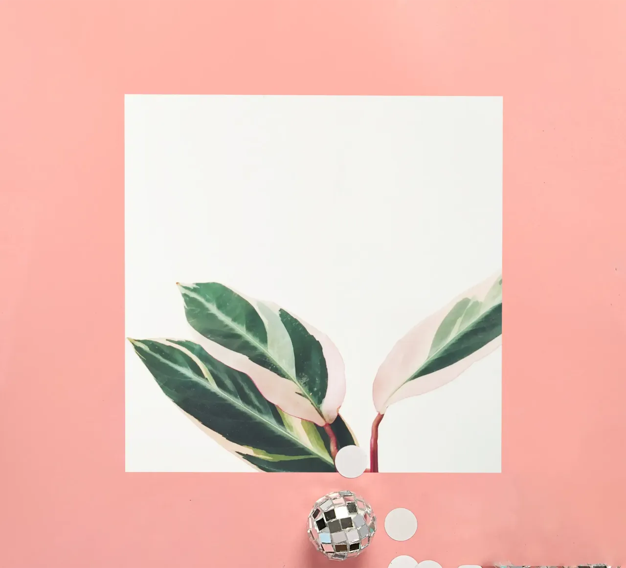 Pink Leaves III sticker by Cassia Beck Photography