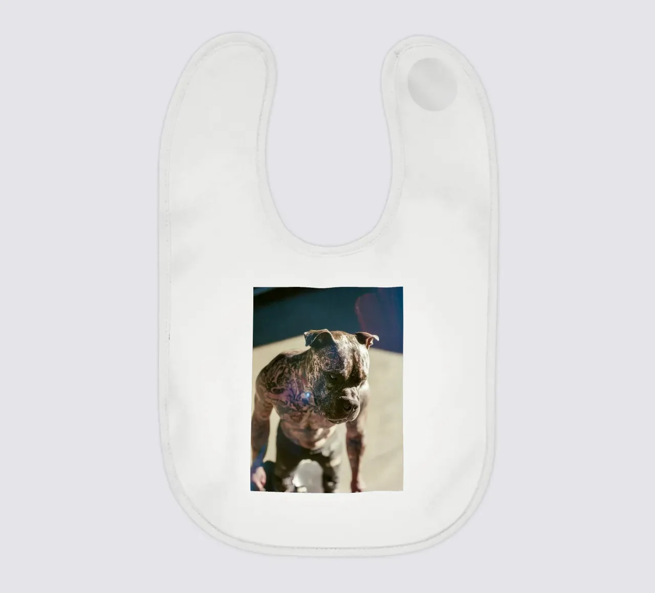 Bronx bavaglino da Affiches Chien Originales – Dogland