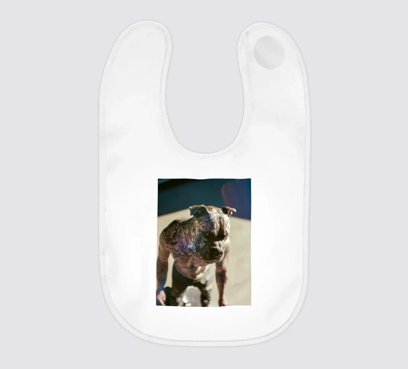 Bronx bavaglino da Affiches Chien Originales – Dogland
