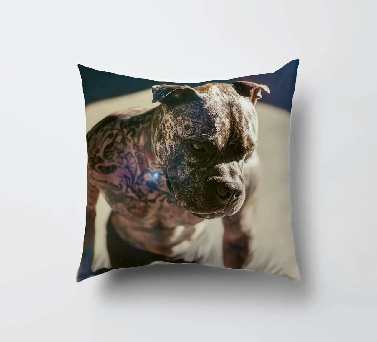 Bronx cuscino da Affiches Chien Originales – Dogland