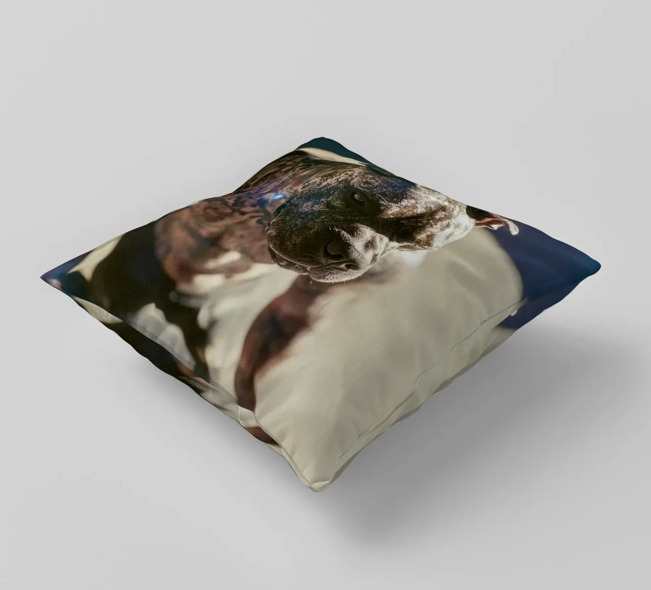 Bronx cuscino da Affiches Chien Originales – Dogland