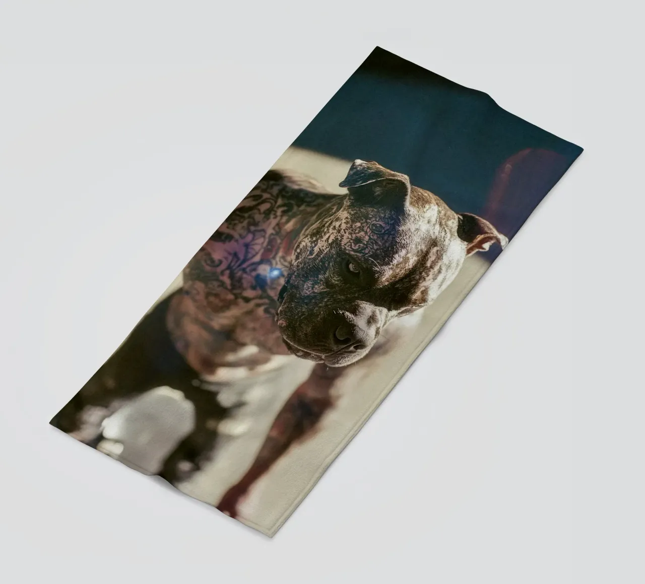 Bronx telo mare da Affiches Chien Originales – Dogland