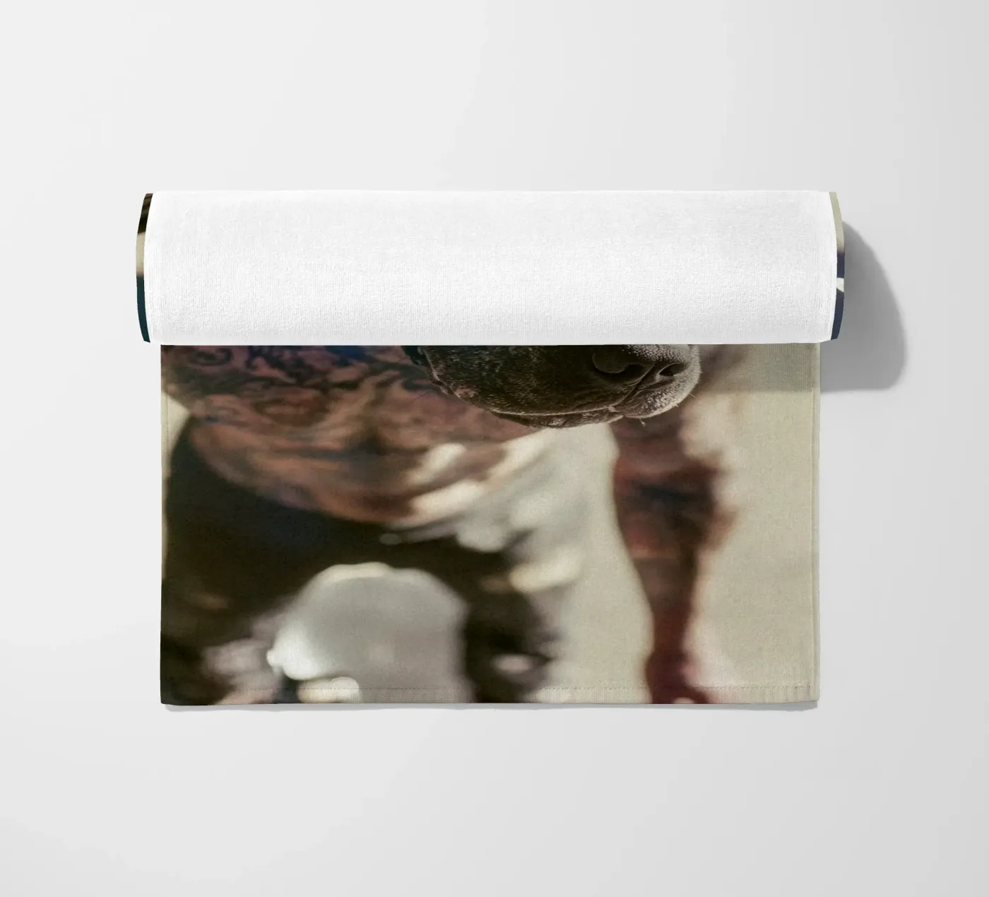 Bronx telo mare da Affiches Chien Originales – Dogland