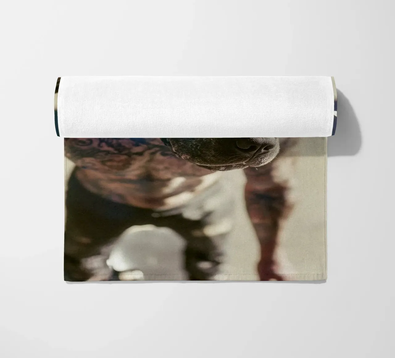 Bronx telo mare da Affiches Chien Originales – Dogland