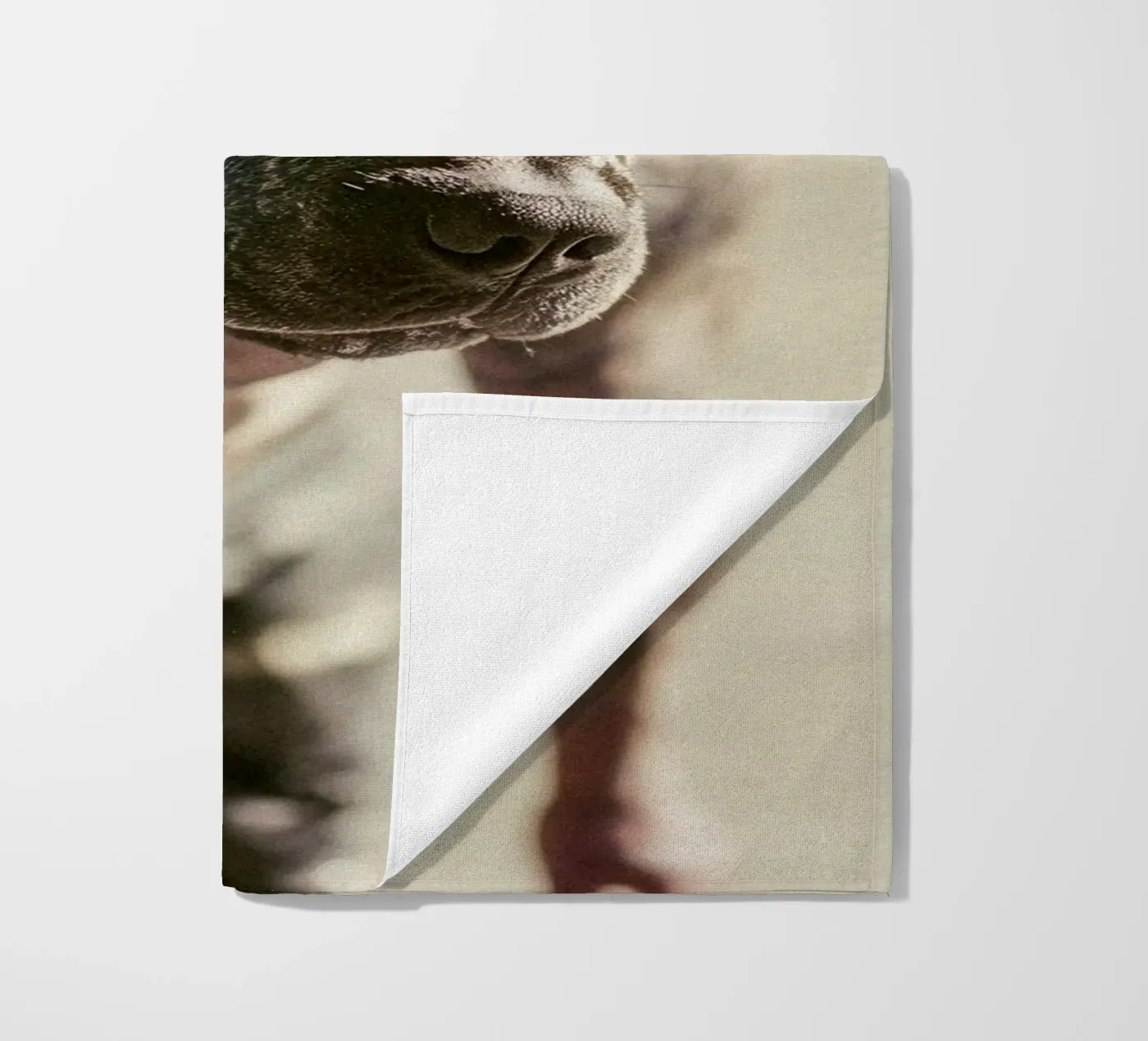 Bronx telo mare da Affiches Chien Originales – Dogland