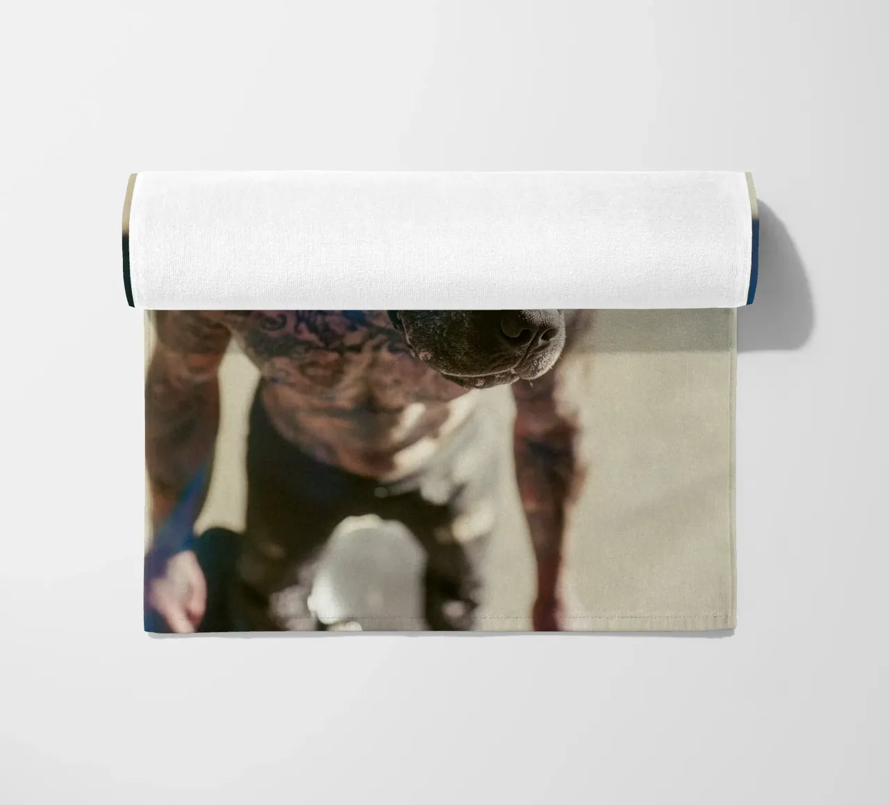 Bronx telo mare da Affiches Chien Originales – Dogland