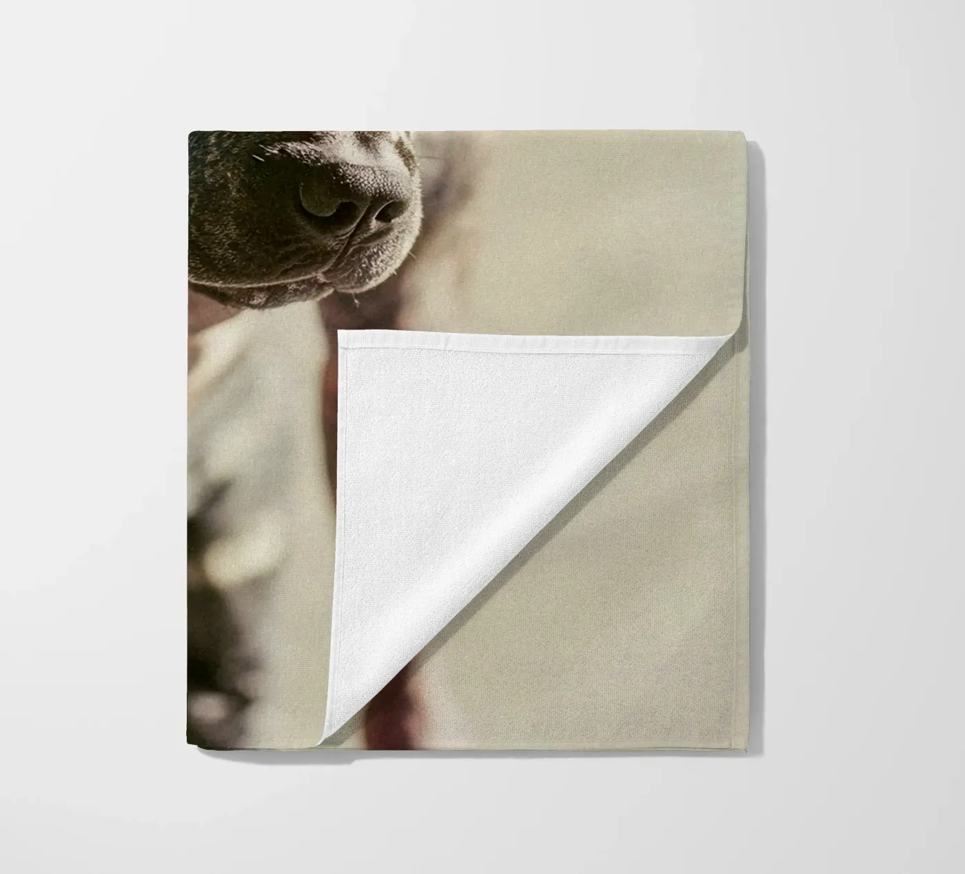 Bronx telo mare da Affiches Chien Originales – Dogland