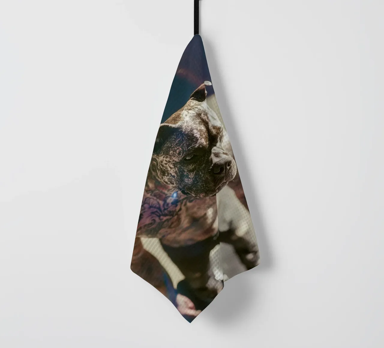 Bronx canovaccio da cucina da Affiches Chien Originales – Dogland