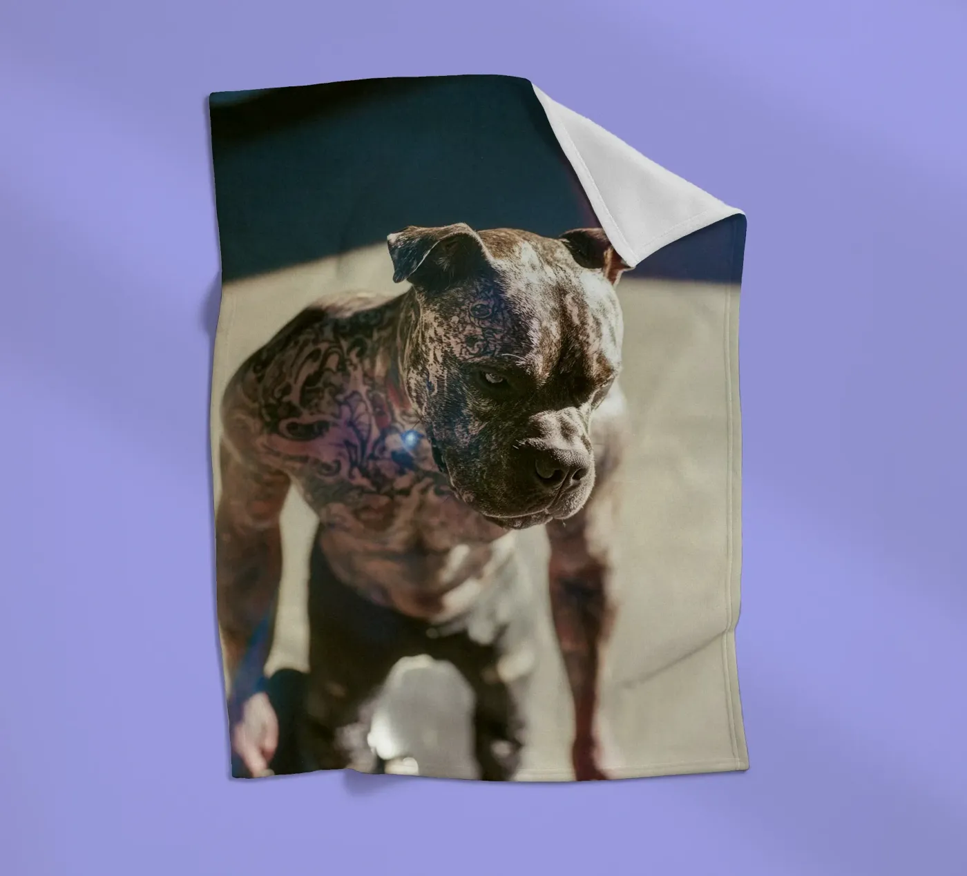 Bronx Fleecedecke von Affiches Chien Originales – Dogland