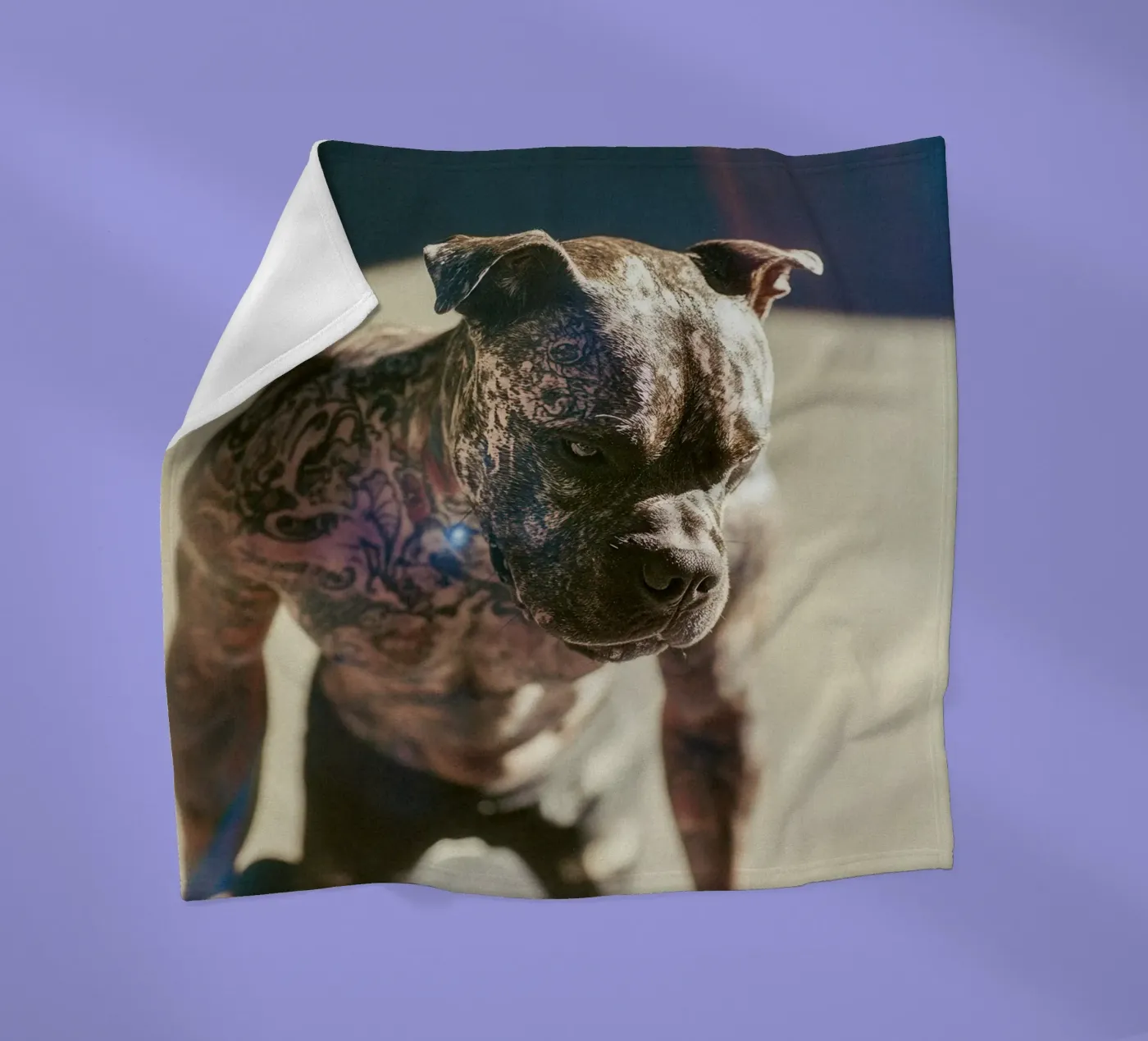 Bronx Fleecedecke von Affiches Chien Originales – Dogland