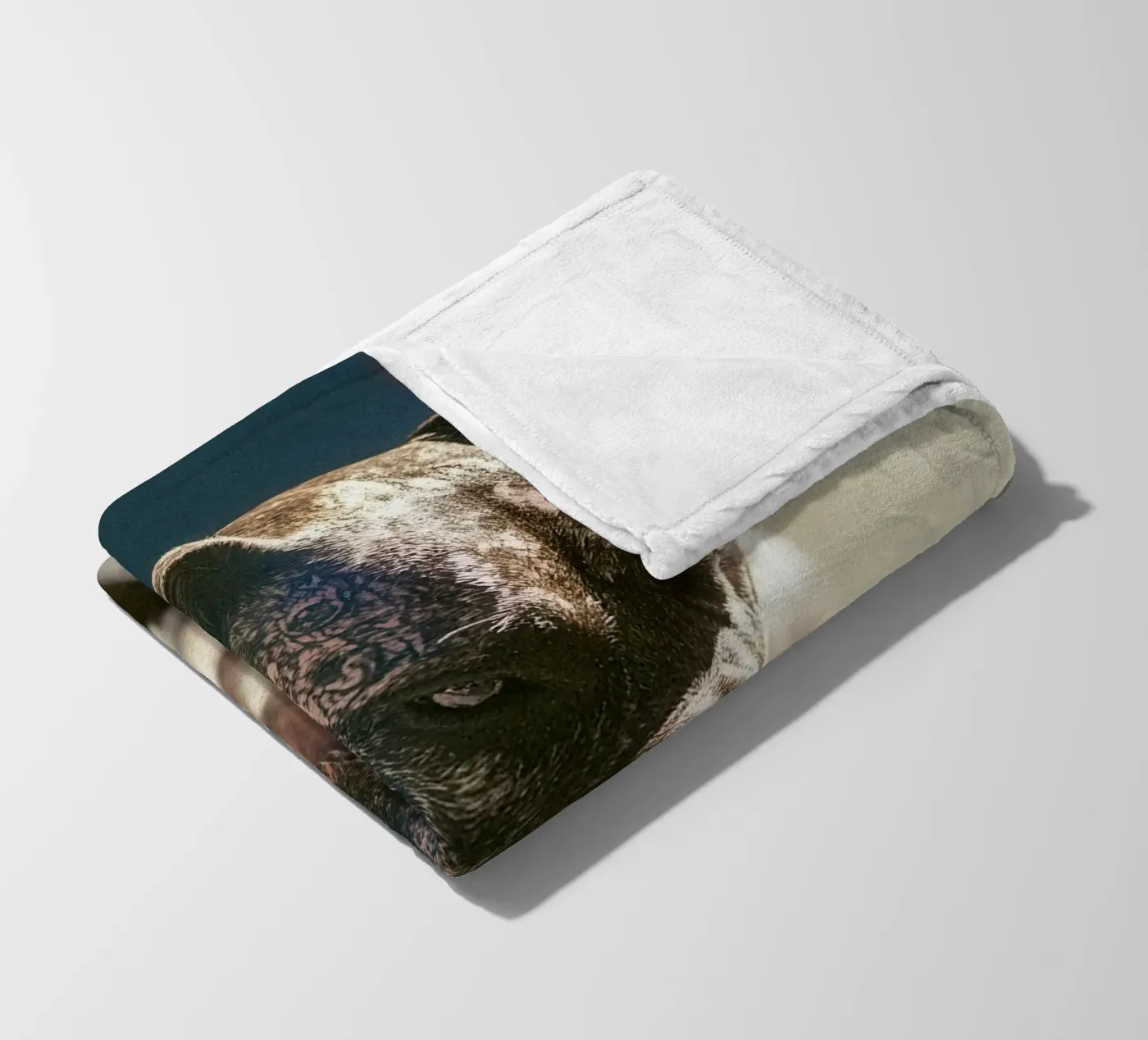 Bronx Fleecedecke von Affiches Chien Originales – Dogland