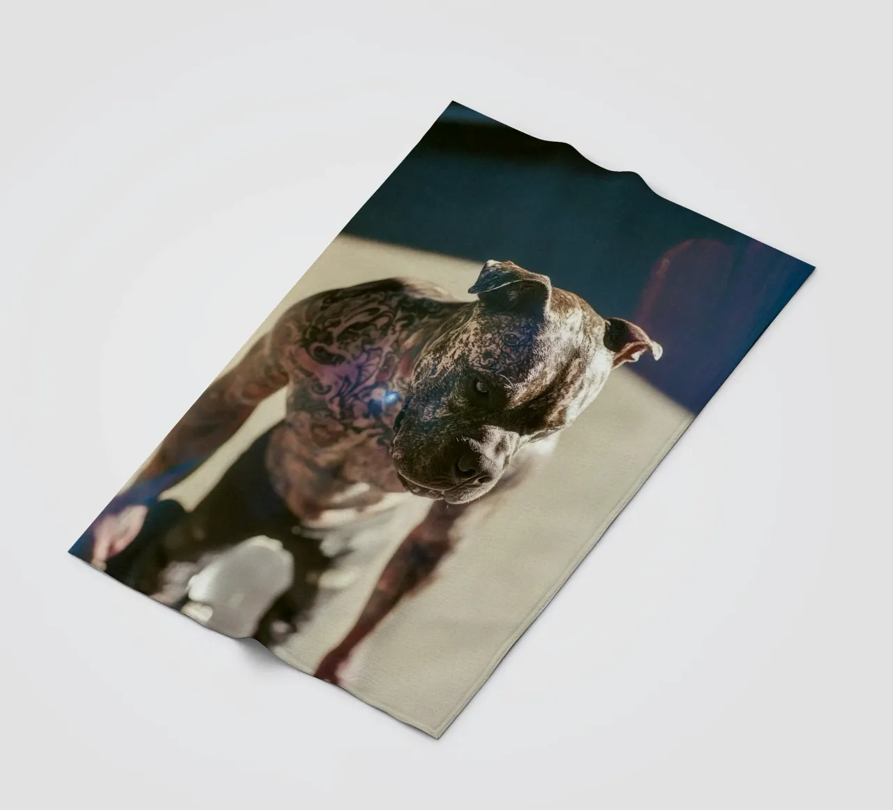 Bronx fleecedeken van Affiches Chien Originales – Dogland