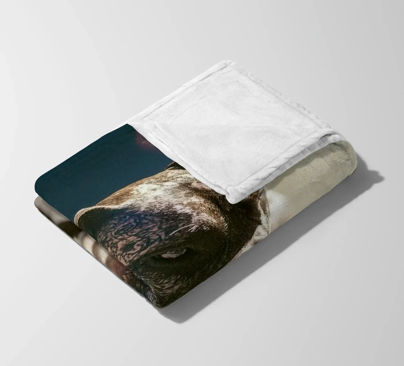 Bronx Fleecedecke von Affiches Chien Originales – Dogland