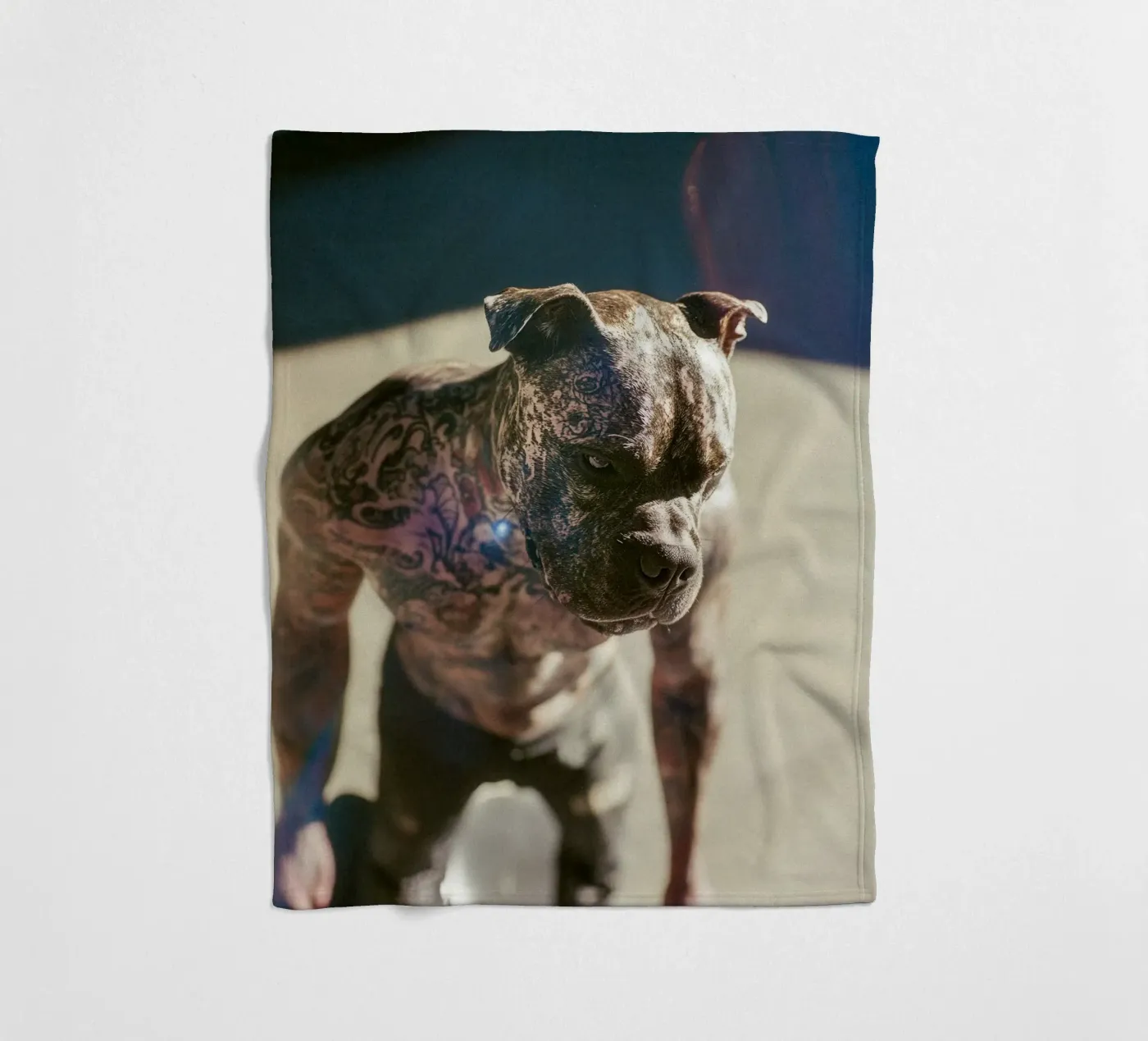 Bronx Fleecedecke von Affiches Chien Originales – Dogland