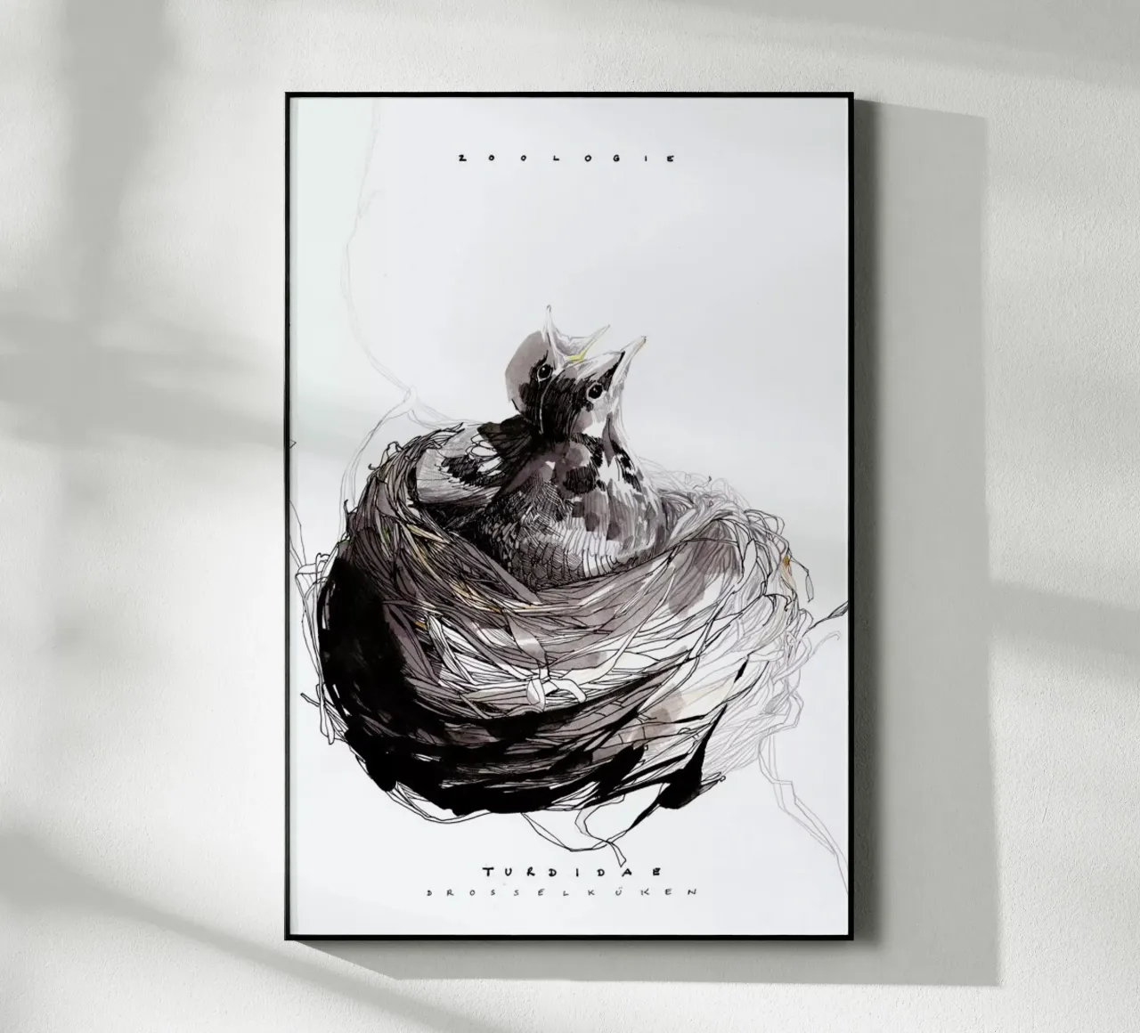 Nest plexiglass da Mala Alani