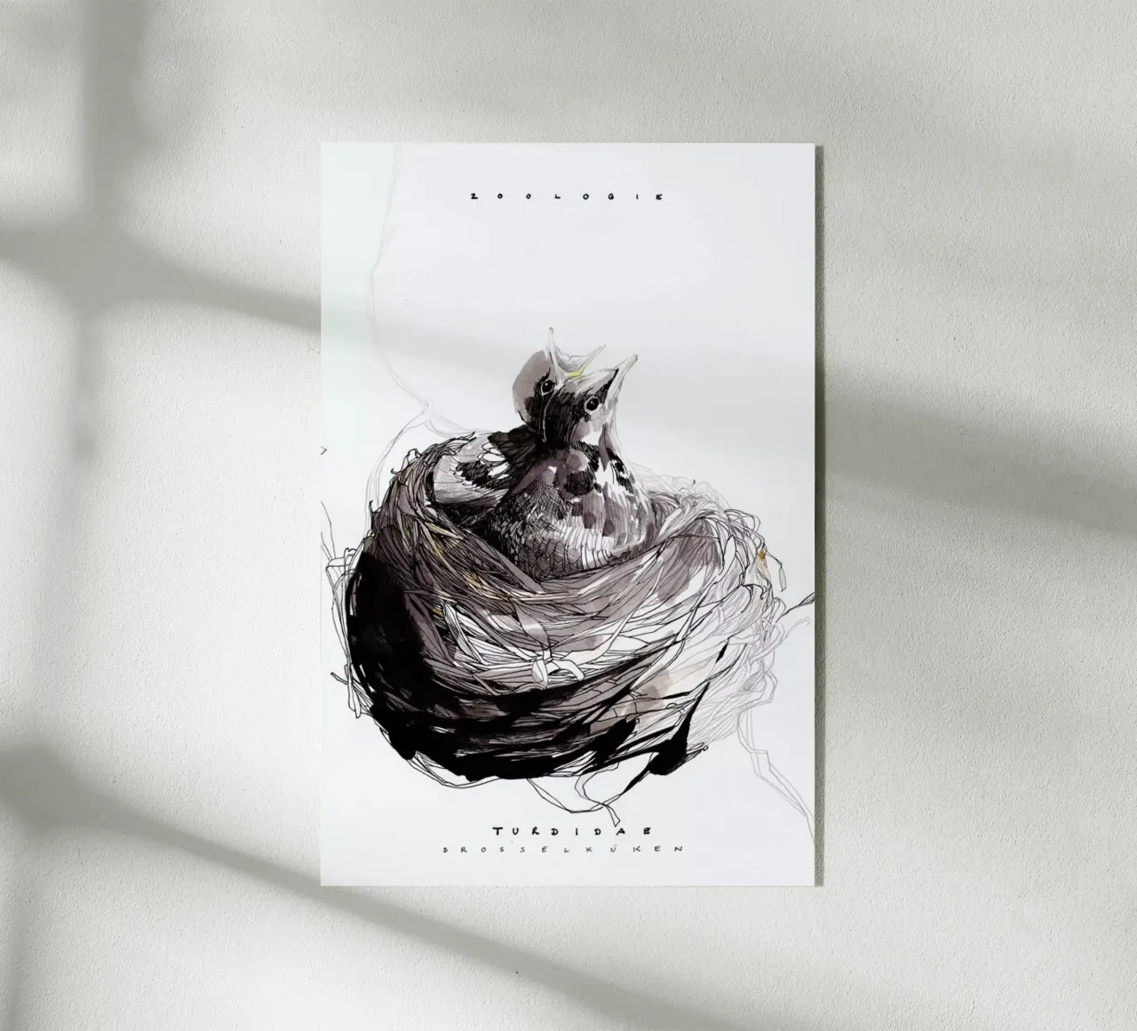 Nest plexiglass da Mala Alani