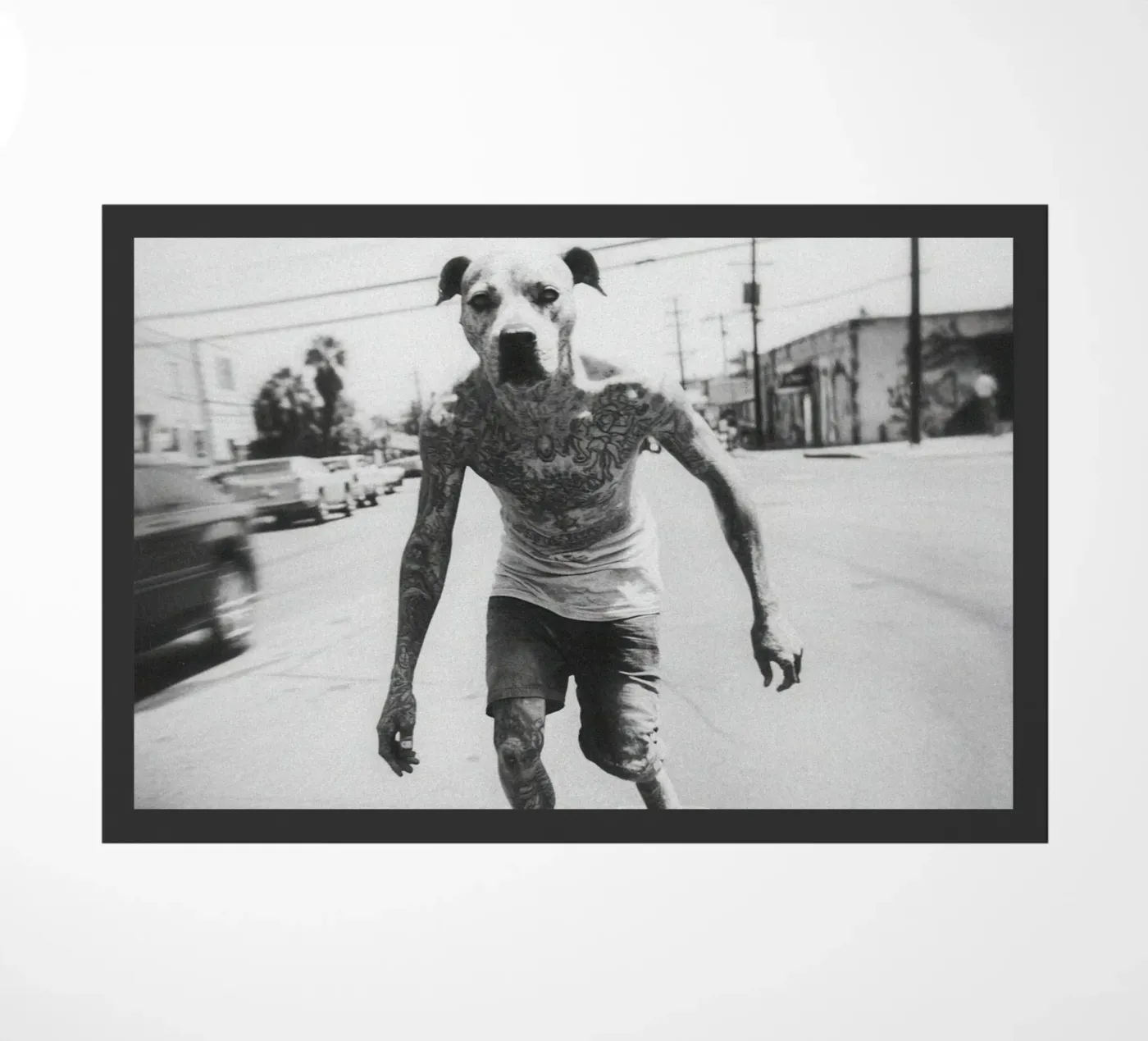 Spike zerbino da Affiches Chien Originales – Dogland