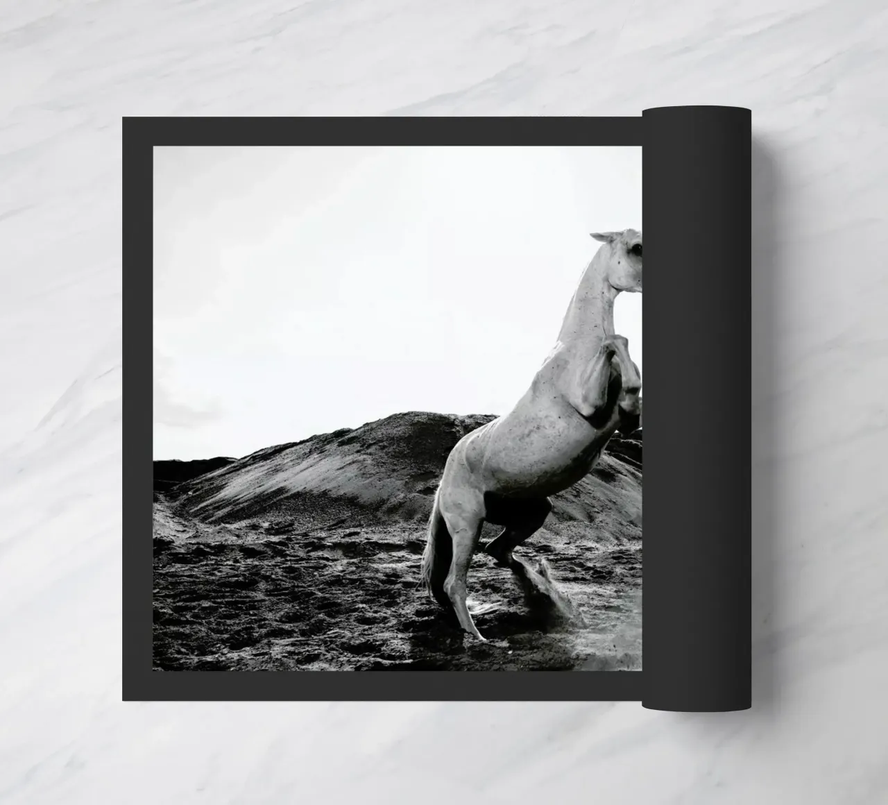 Majestic Stallion by @Werema zerbino da EyeEm Mobile GmbH