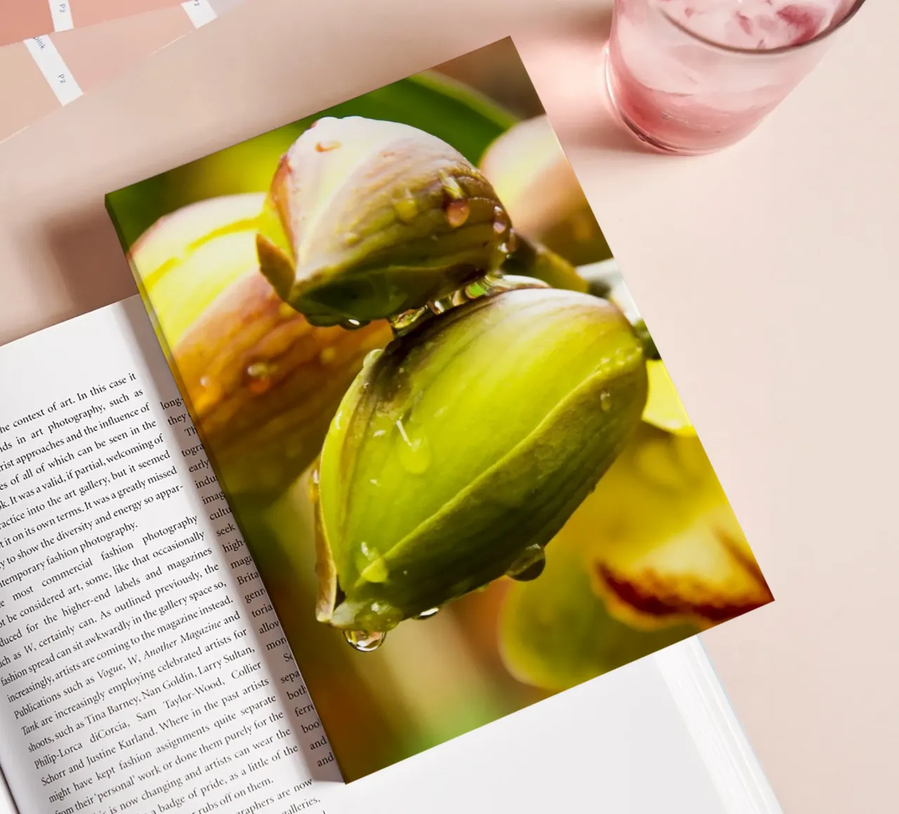 Bloming in the rain notebook by Teresa André