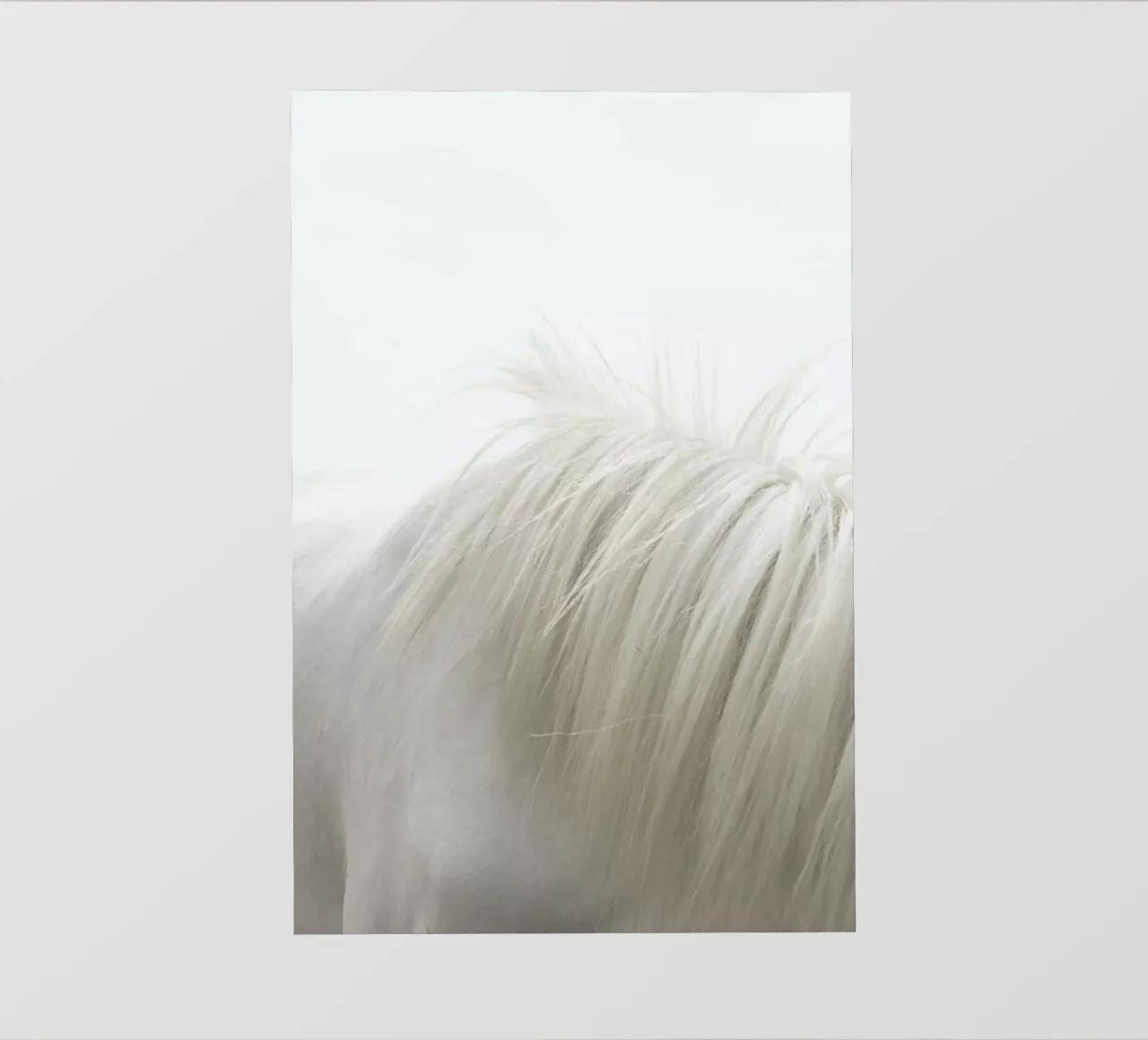 Horses Mane telo in pvc da Victoria Frost