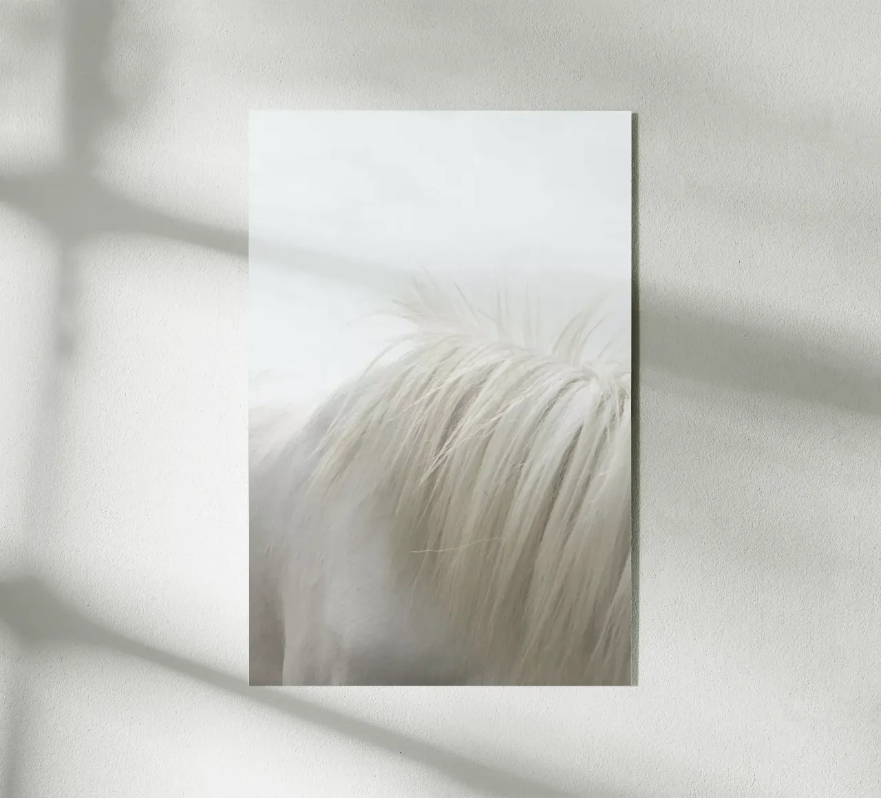 Horses Mane plexiglass da Victoria Frost