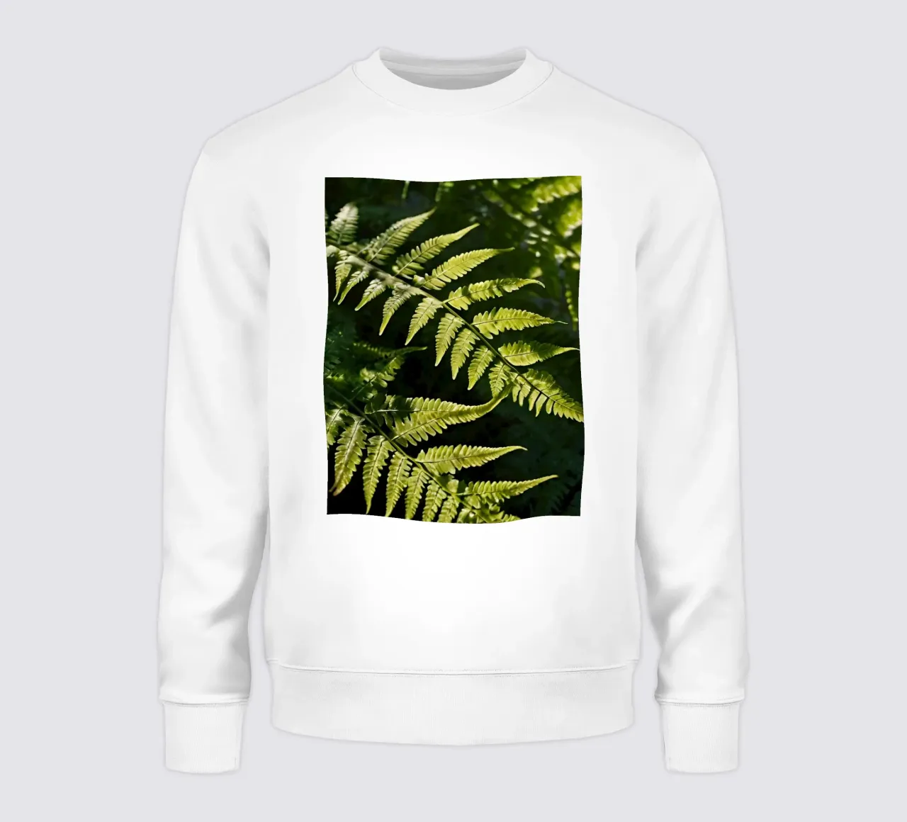 Sunlight filters through lush green ferns in a tranquil fore sweatshirt by DesignDoodle