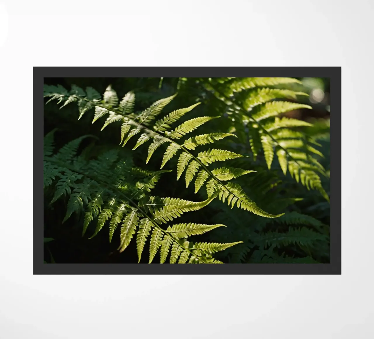 Sunlight filters through lush green ferns in a tranquil fore doormat by DesignDoodle