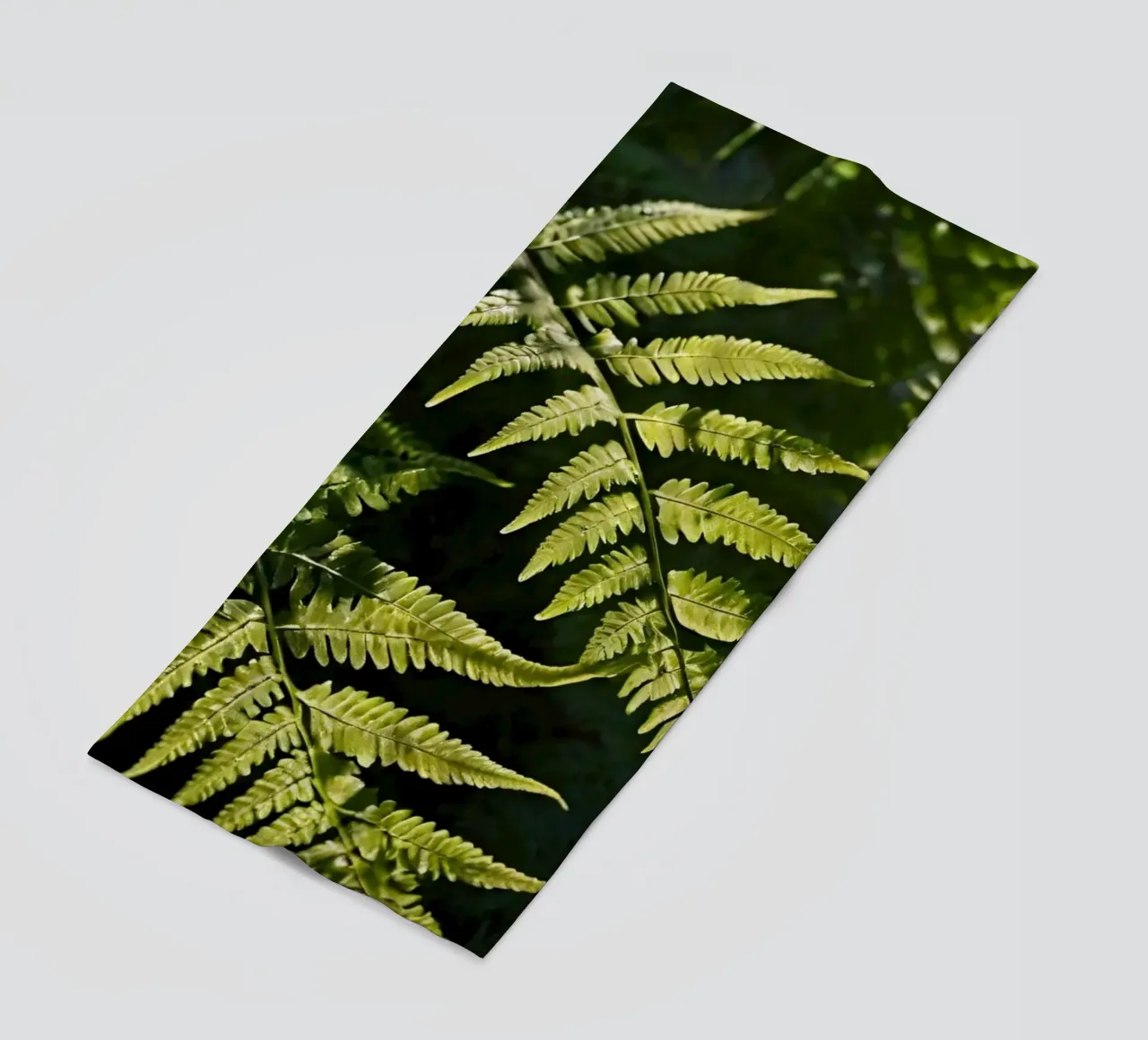 Sunlight filters through lush green ferns in a tranquil fore beach towel by DesignDoodle