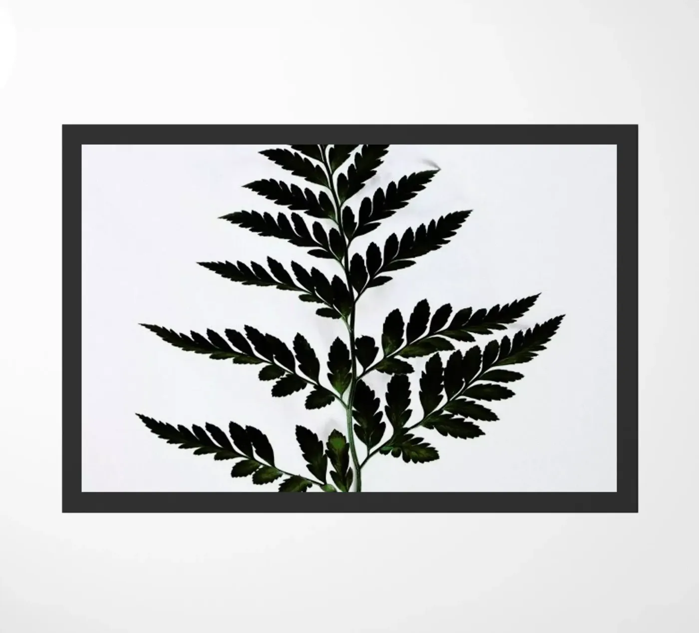 Forest Greetings deurmat van Studio Nahili