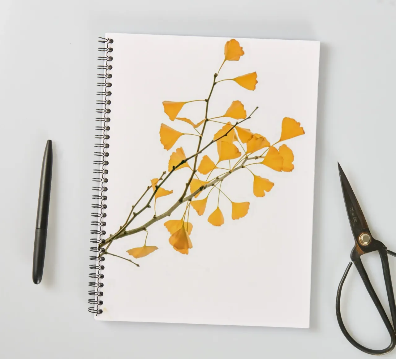 Branch of ginkgo biloba spiral notebook by Teresa André